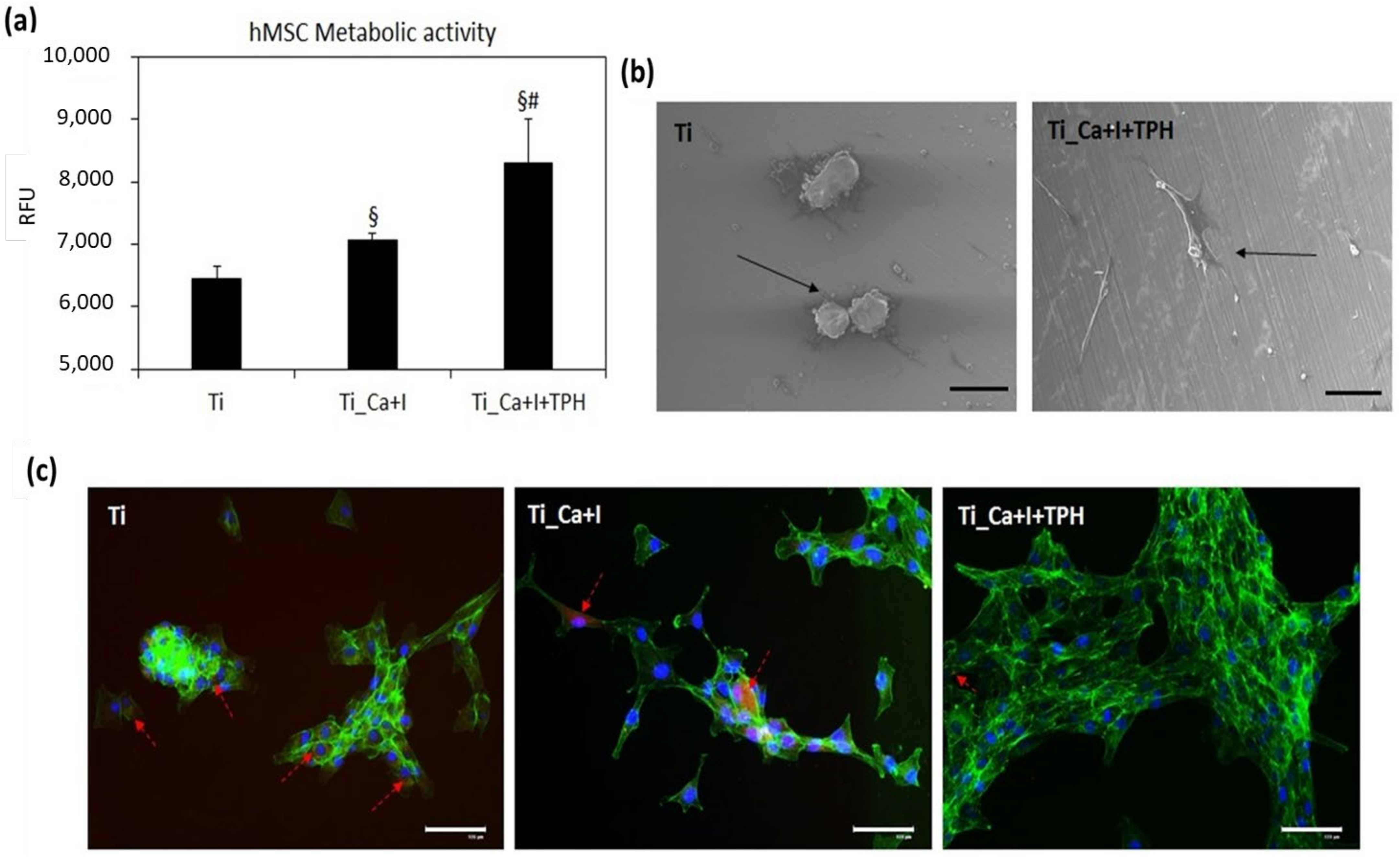 Nanomaterials 13 00479 g010 Nanomaterials 13 00479 g010