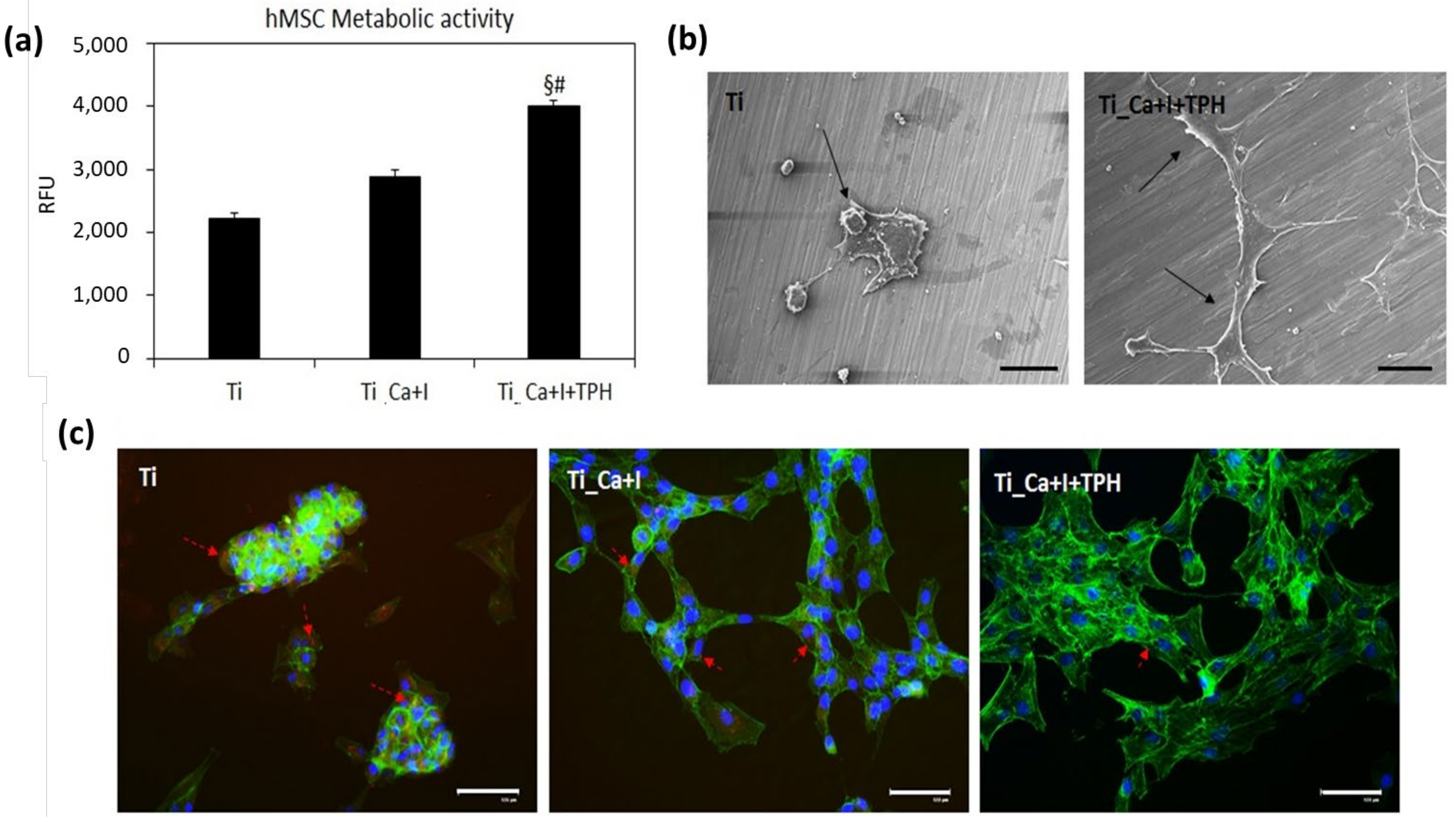 Nanomaterials 13 00479 g011 Nanomaterials 13 00479 g011