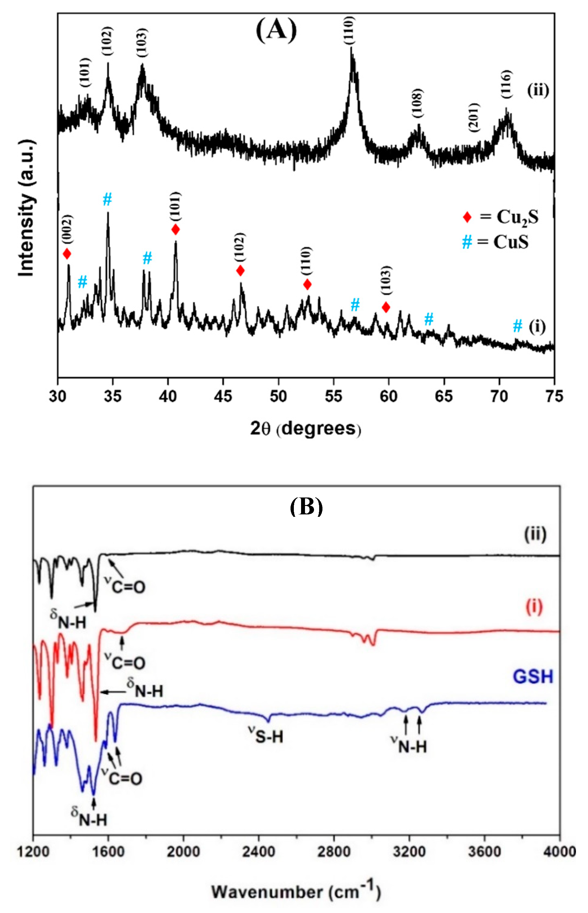 Nanomaterials 13 00481 g003