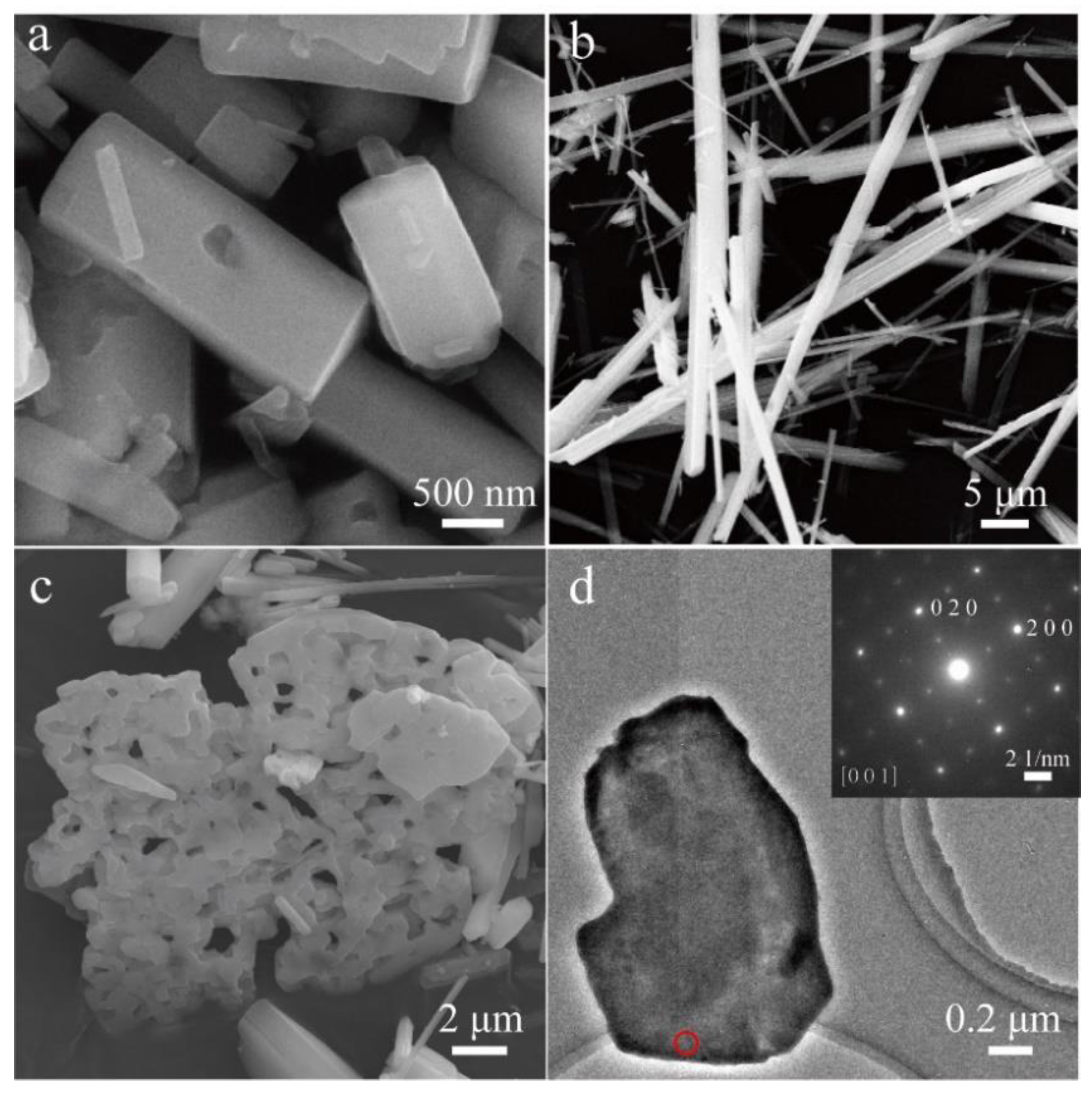 Nanomaterials 13 00487 g008