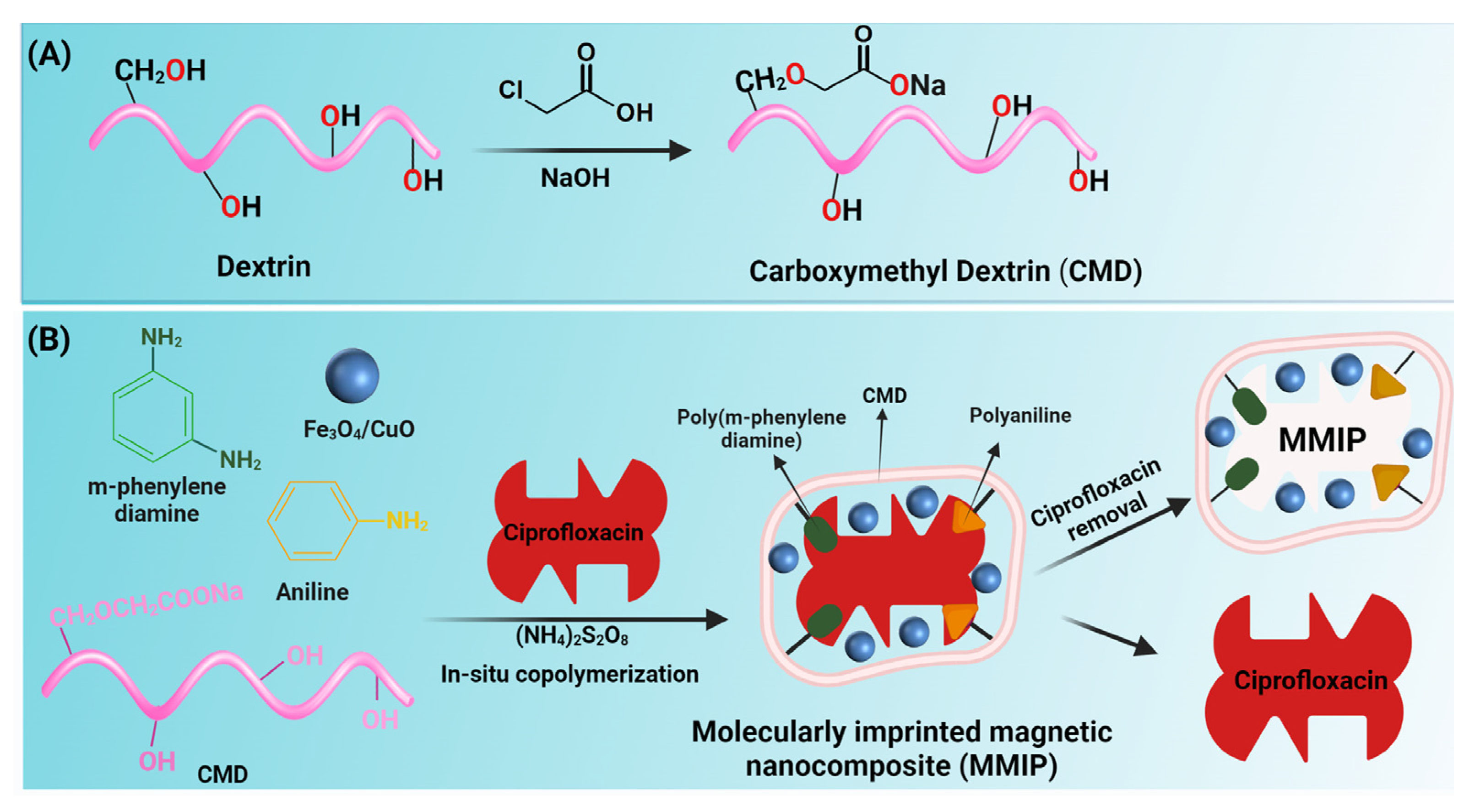 Nanomaterials 13 00489 g001