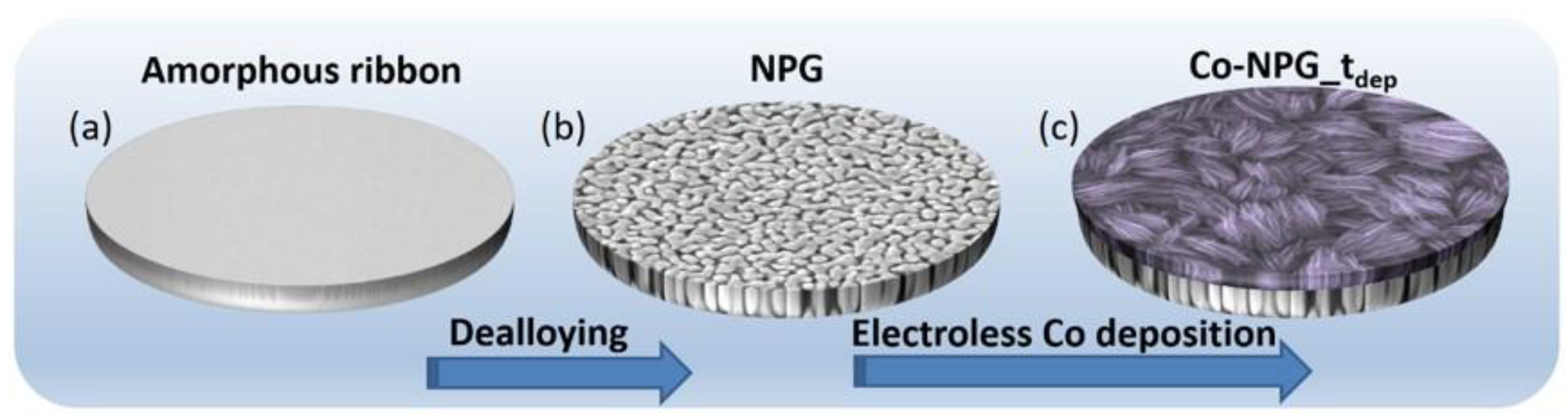 Nanomaterials 13 00494 g001