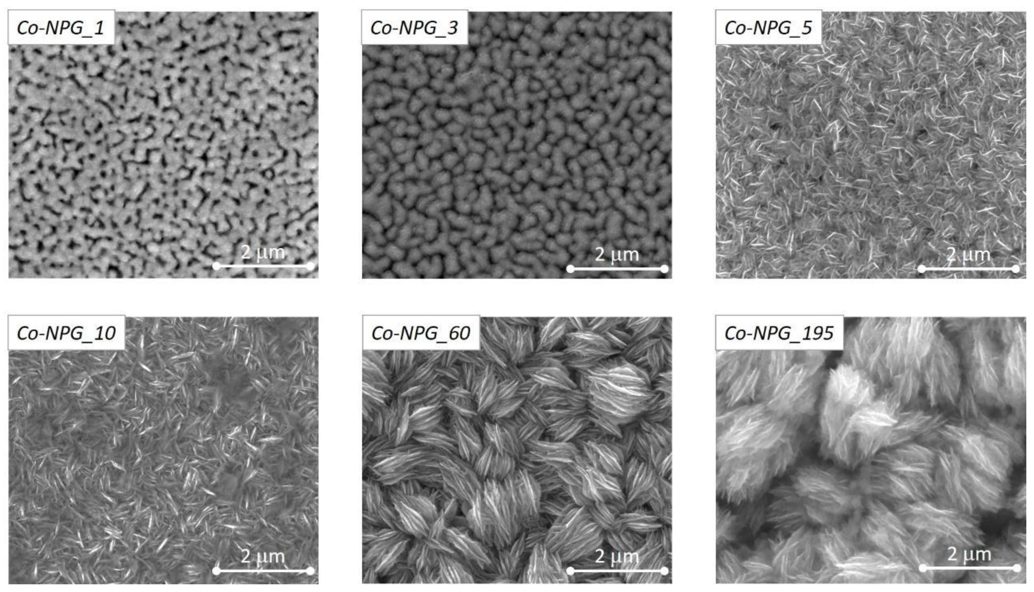 Nanomaterials 13 00494 g003