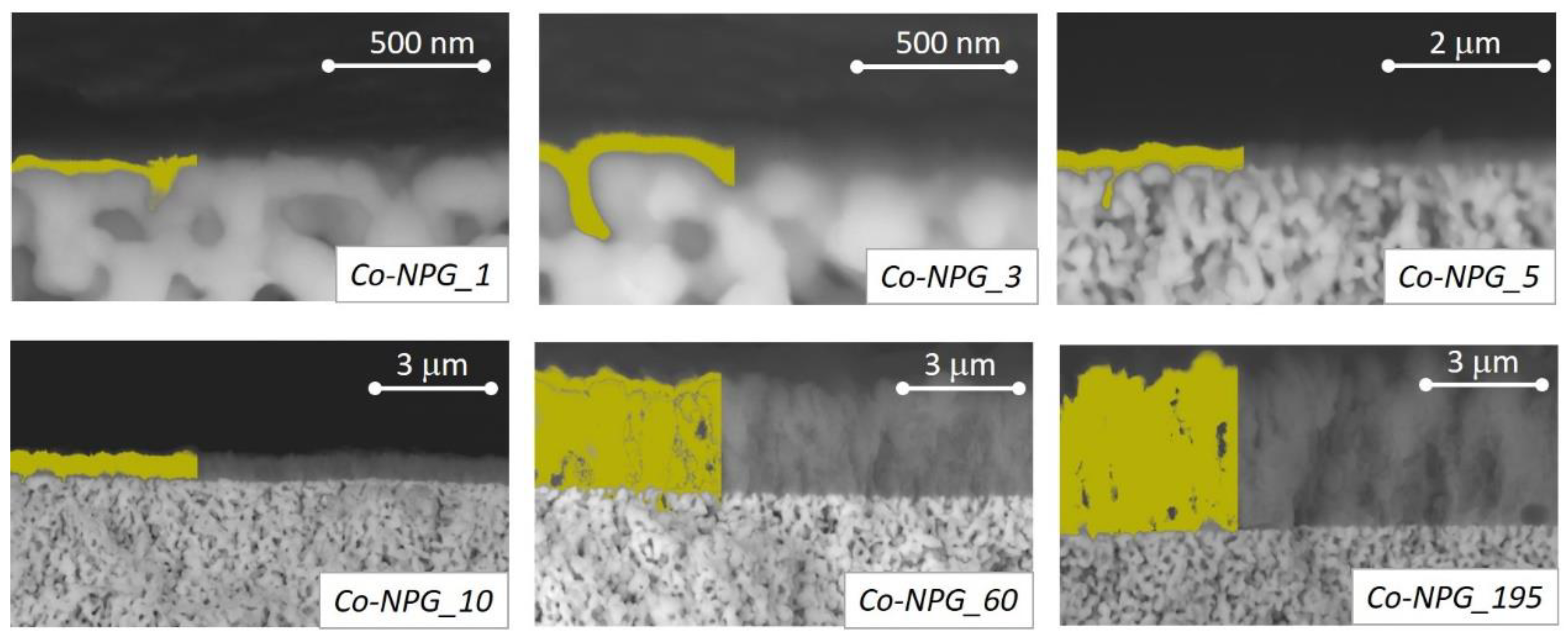 Nanomaterials 13 00494 g004
