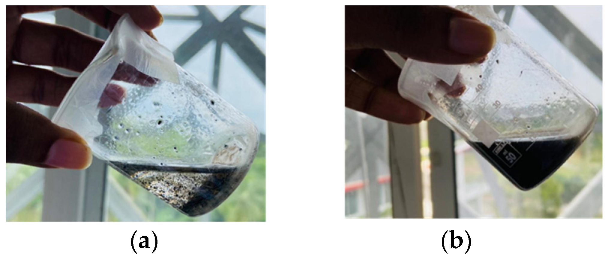 Nanomaterials 13 00498 g004