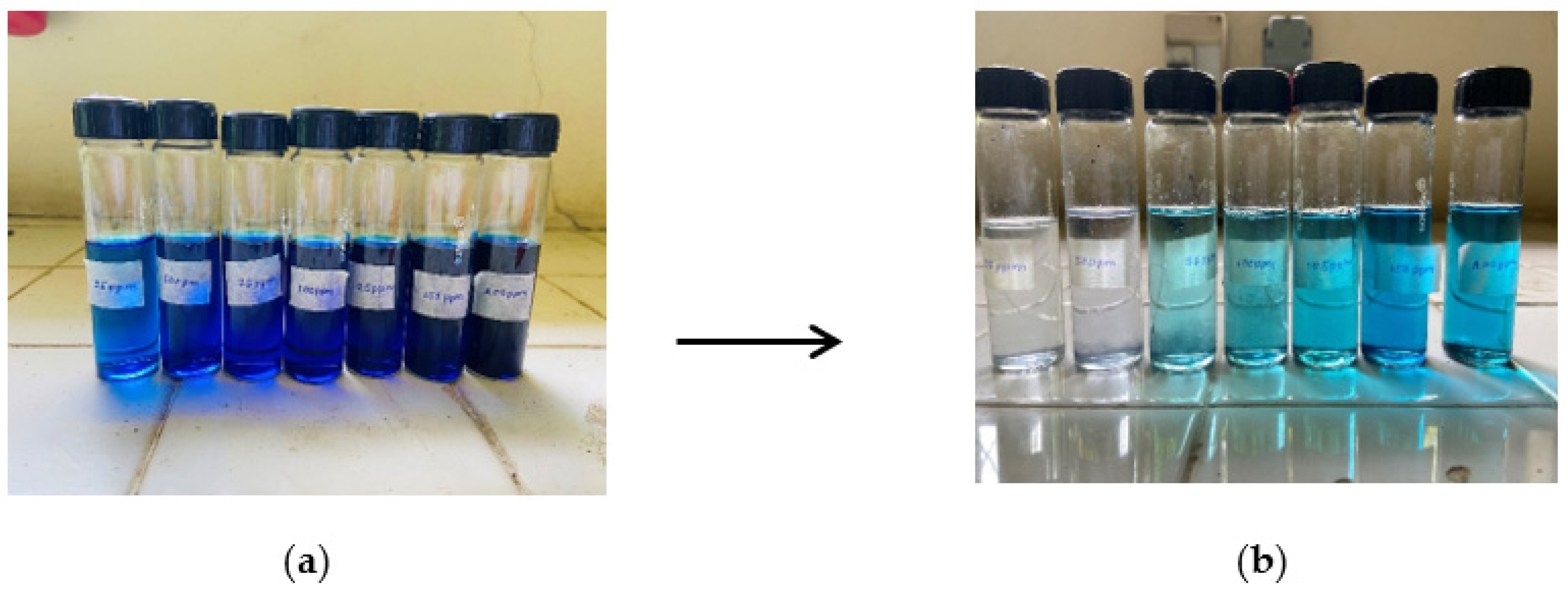 Nanomaterials 13 00498 g019
