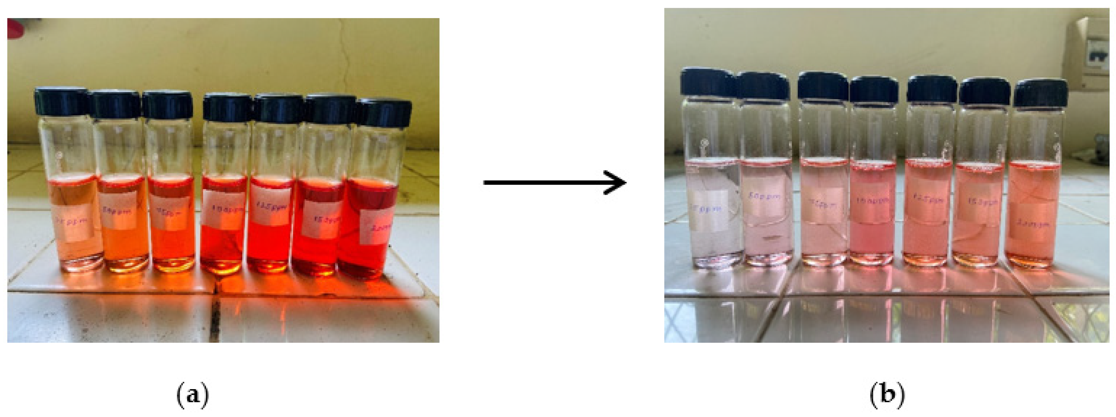 Nanomaterials 13 00498 g020
