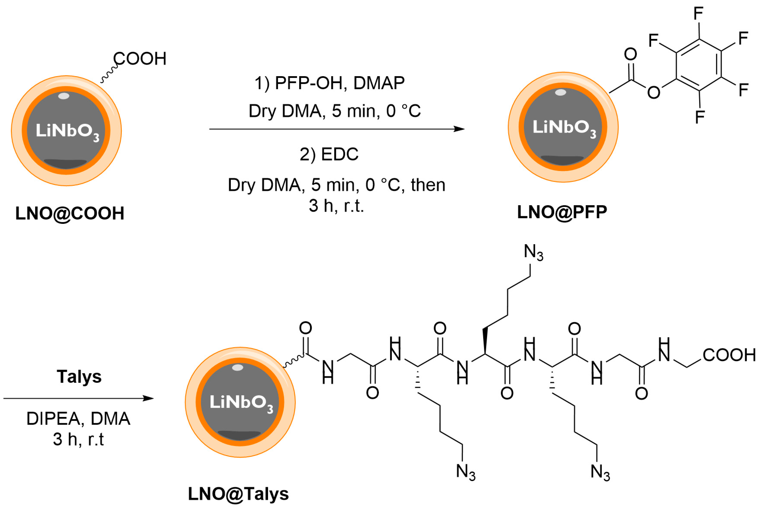 Nanomaterials 13 00522 sch003