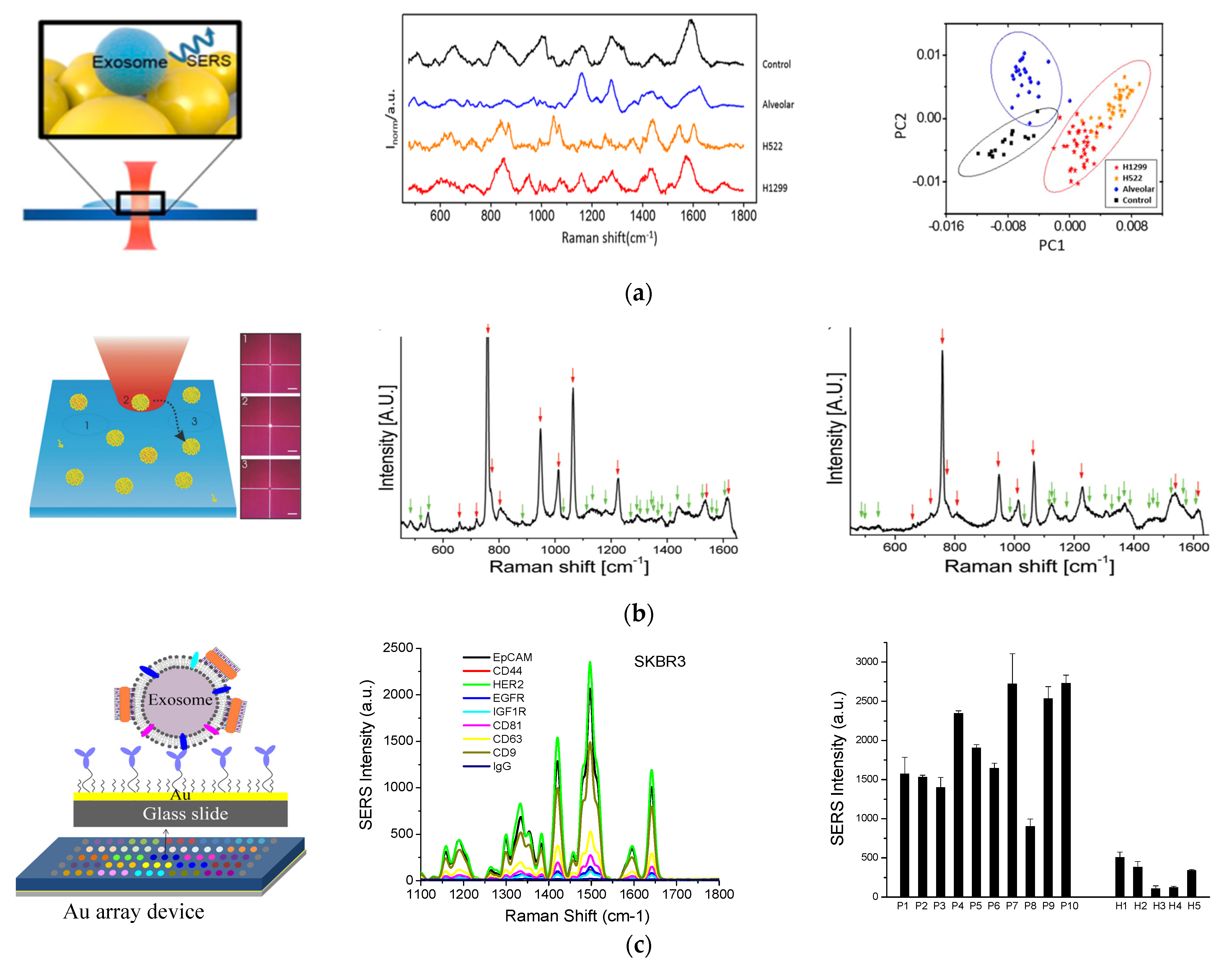 Nanomaterials 13 00524 g004