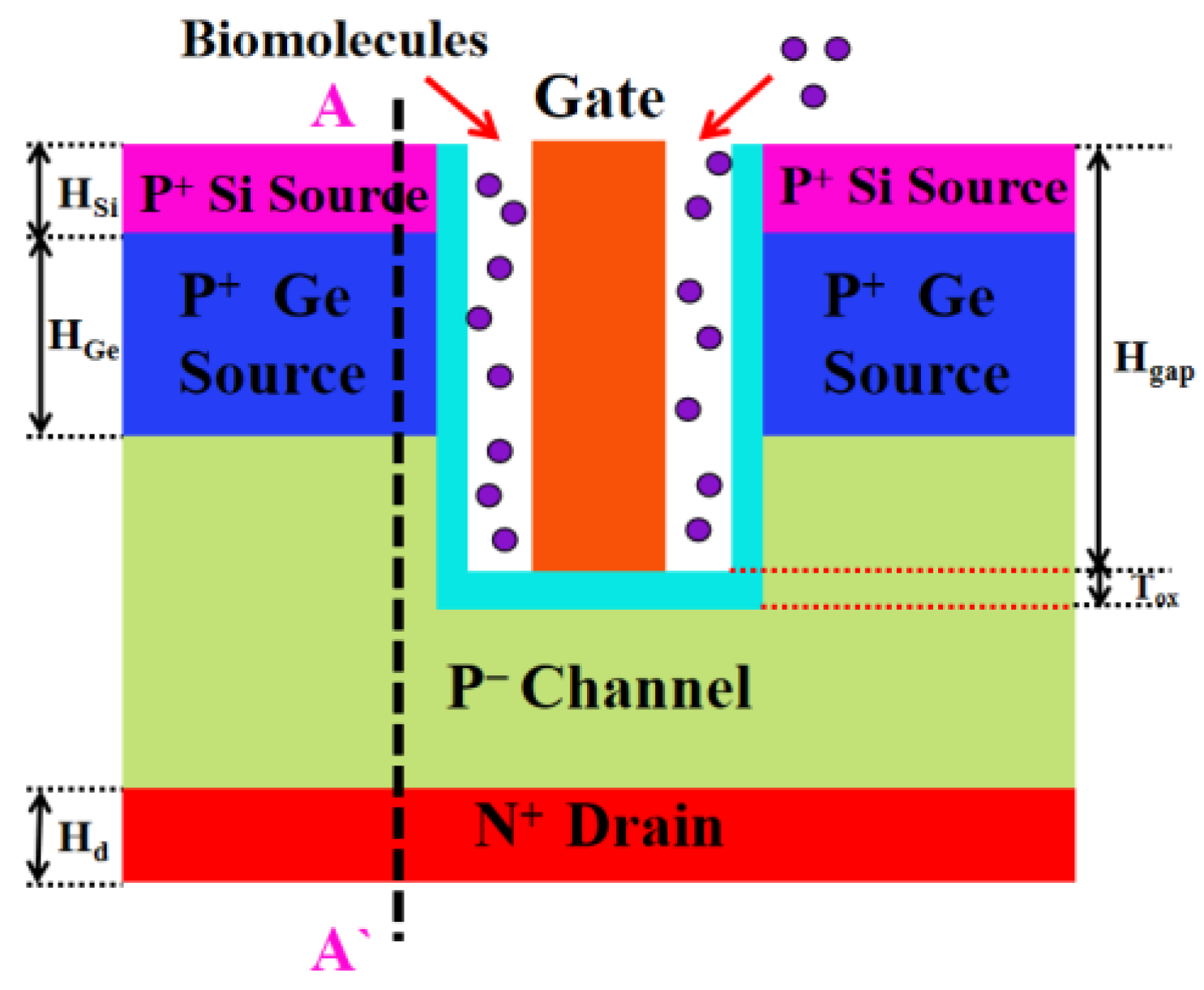 Nanomaterials 13 00531 g001