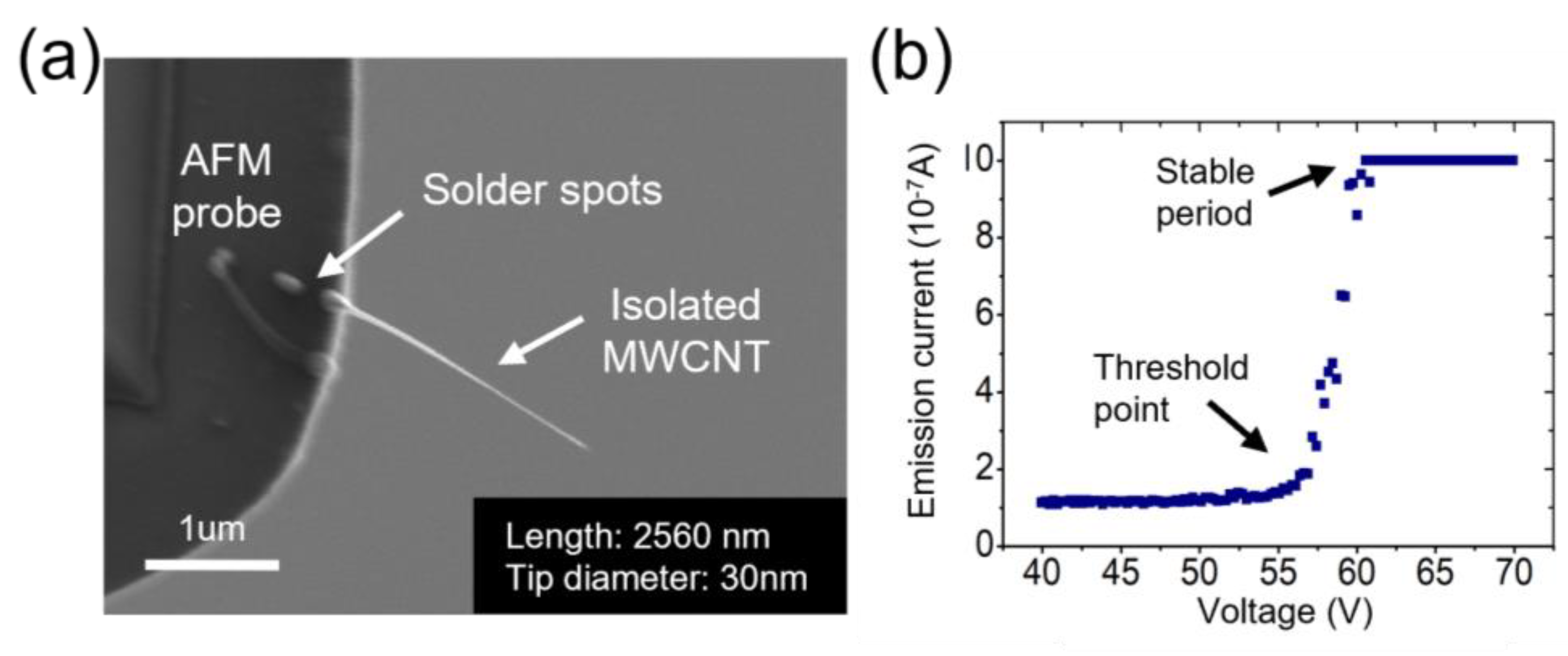 Nanomaterials 13 00532 g004