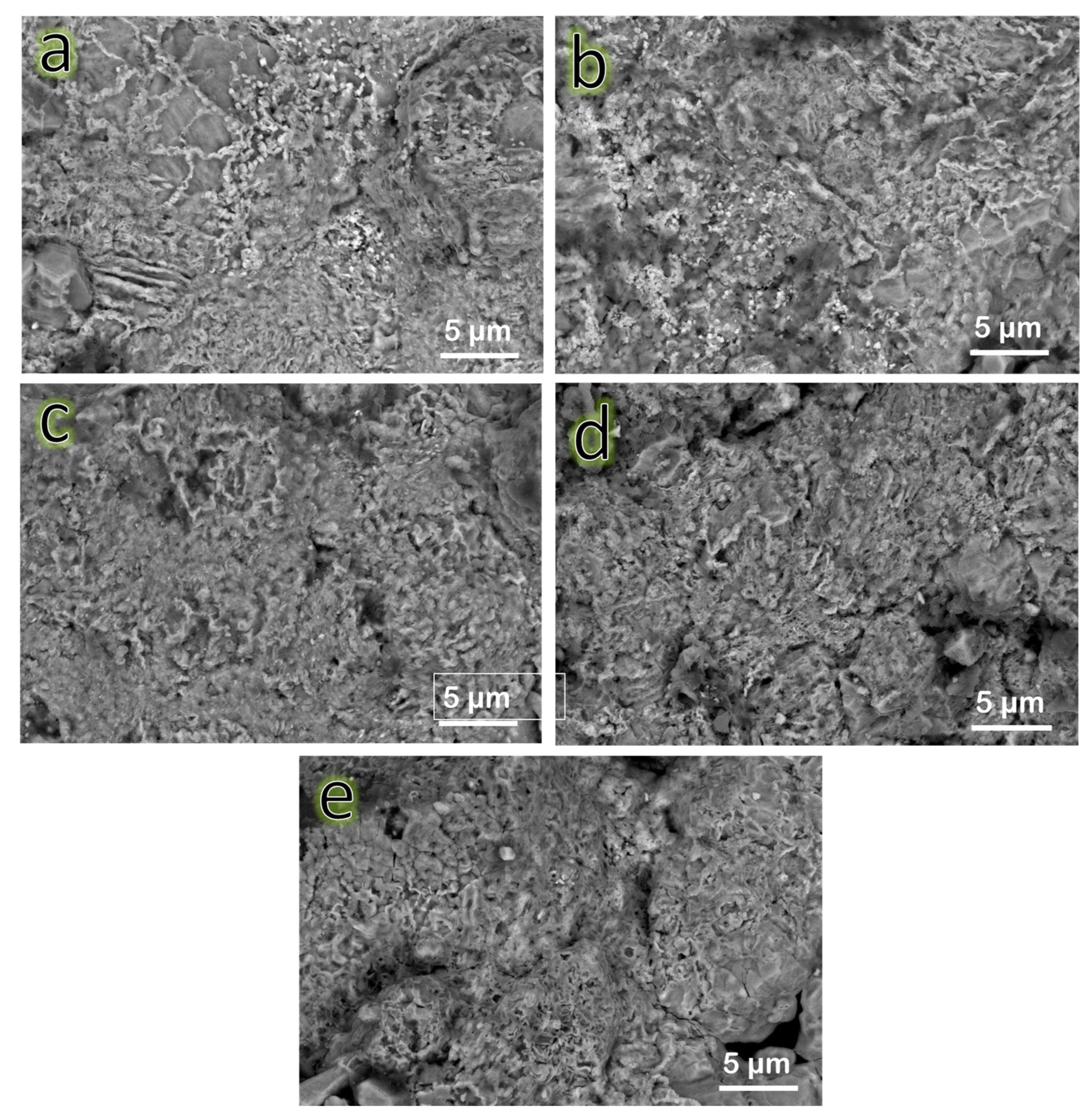 Nanomaterials 13 00537 g007