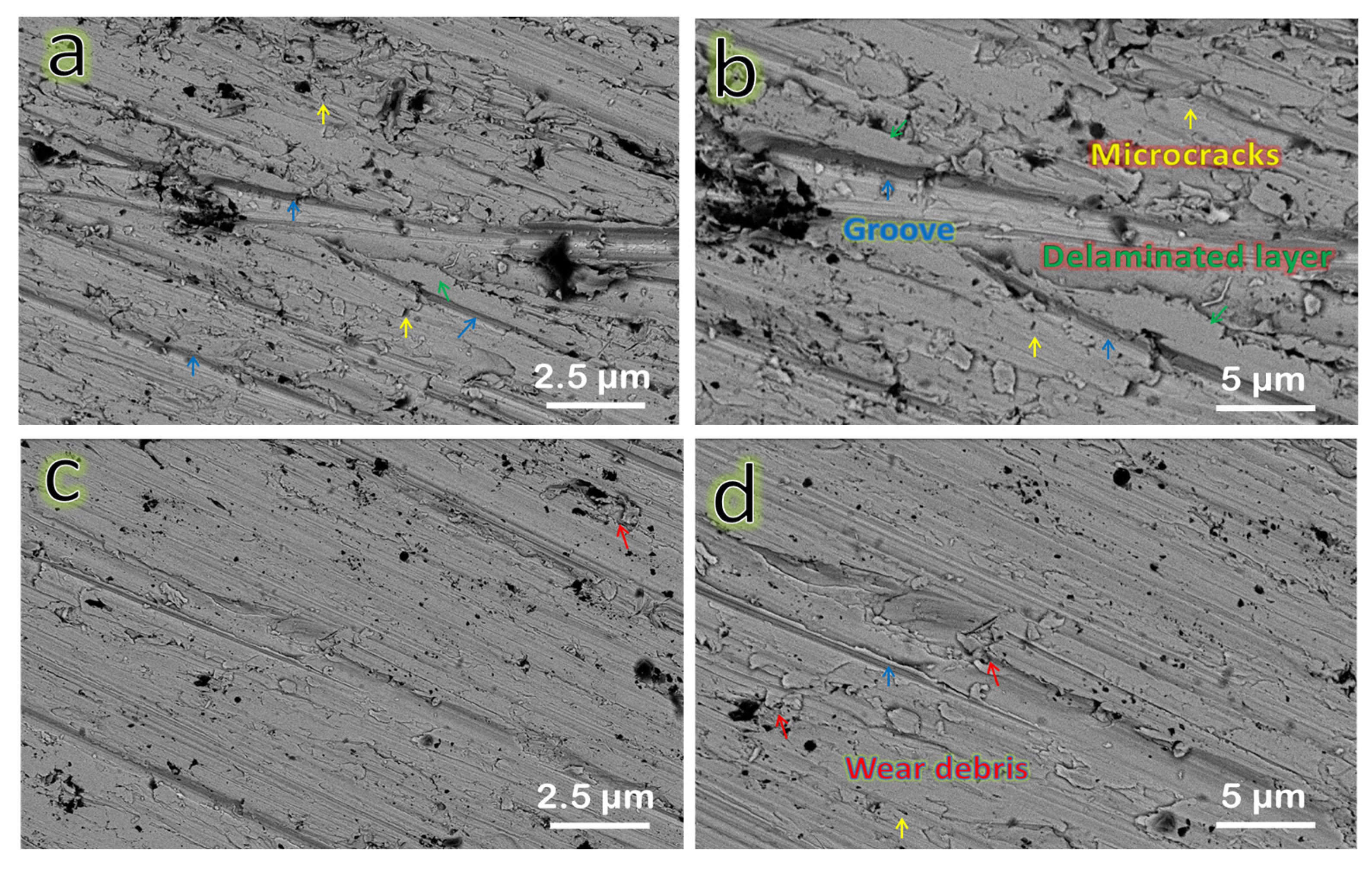 Nanomaterials 13 00537 g015