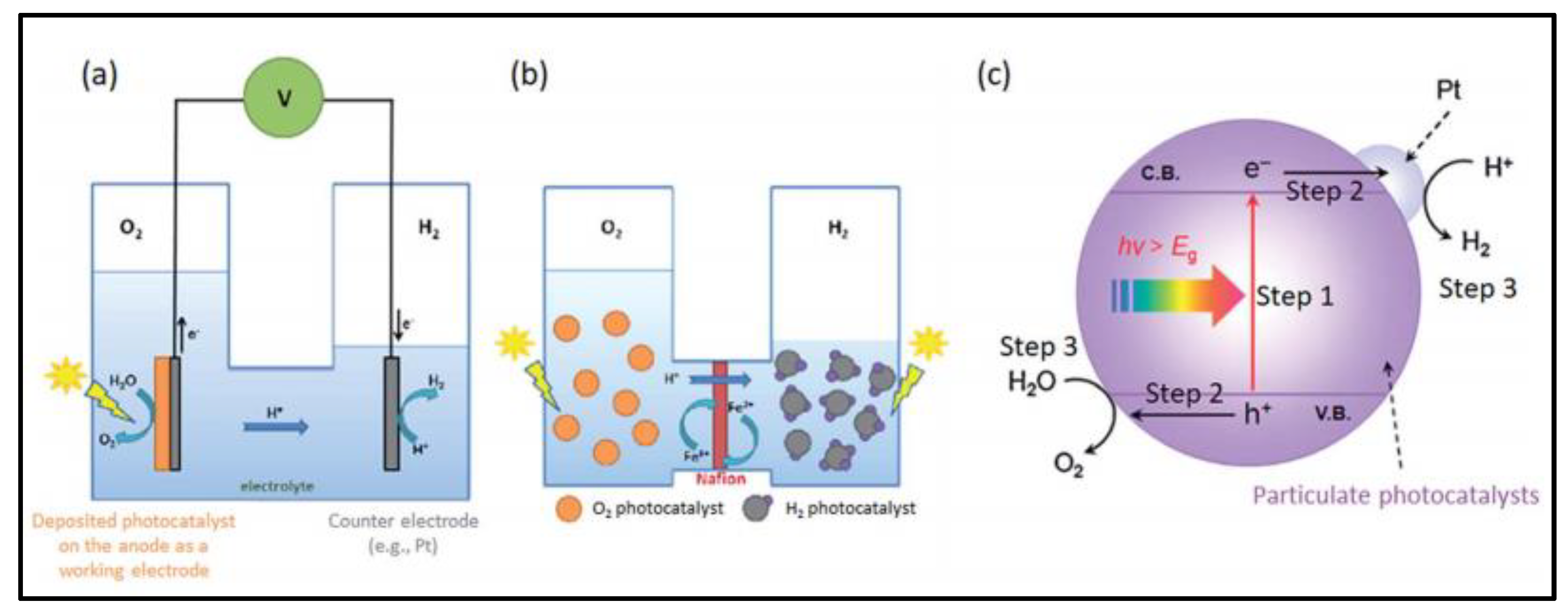 Nanomaterials 13 00546 g002