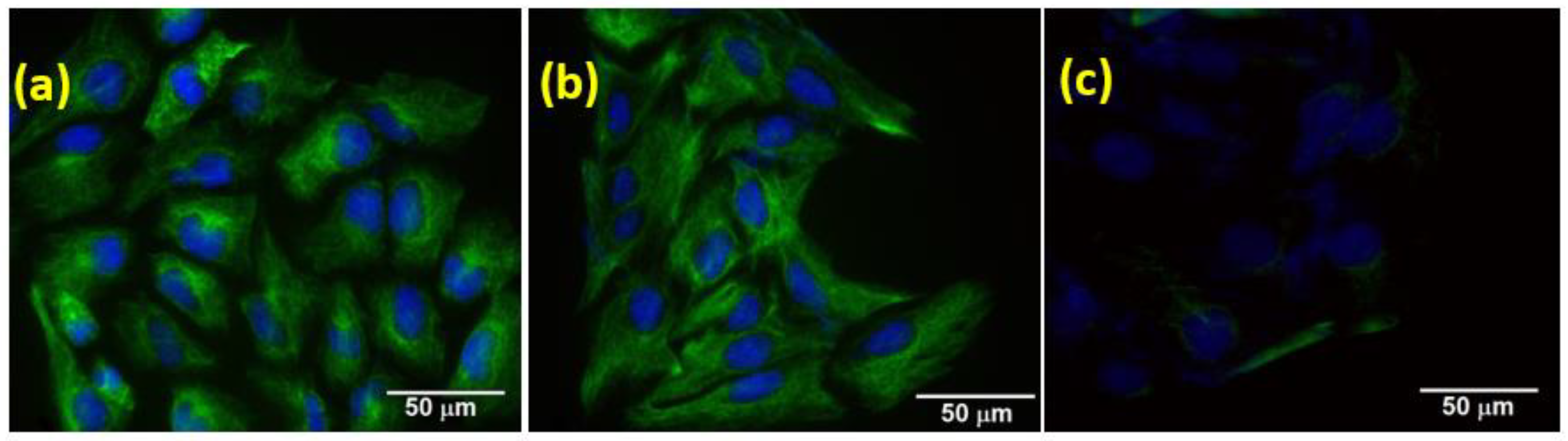 Nanomaterials 13 00556 g007 Nanomaterials 13 00556 g007