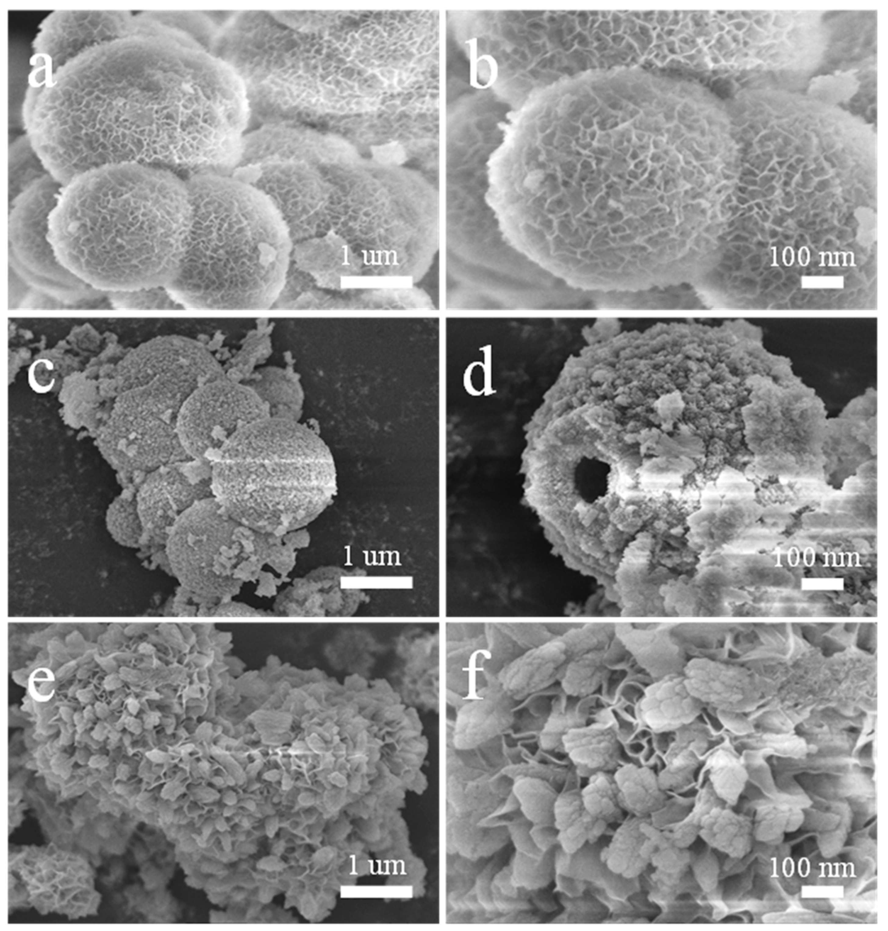 Nanomaterials 13 00581 g002