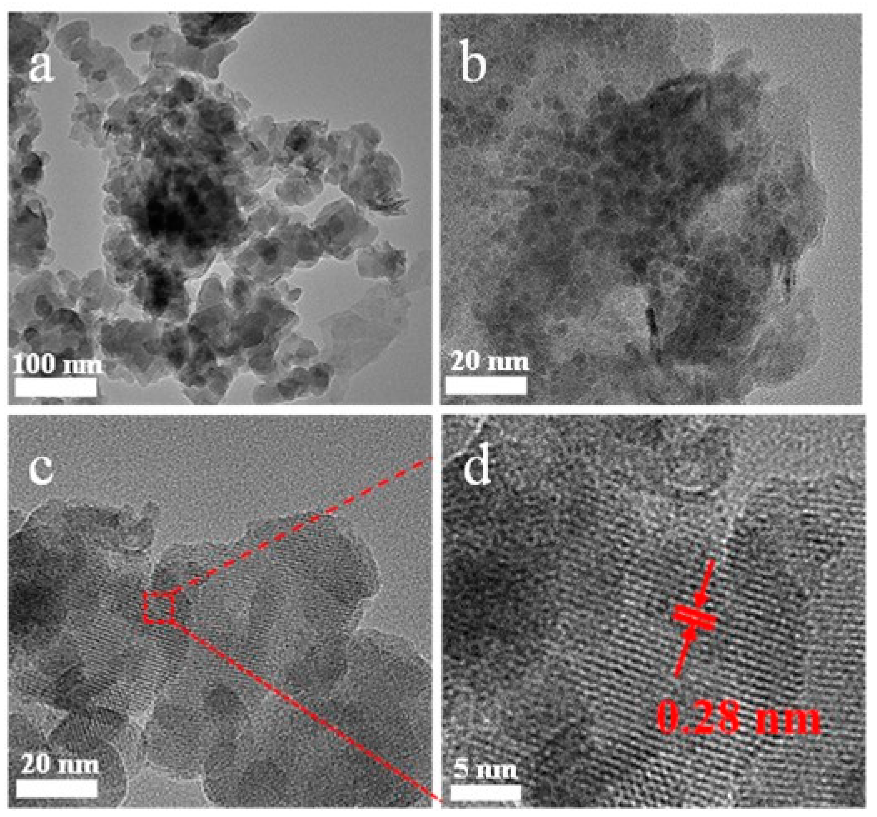 Nanomaterials 13 00581 g005