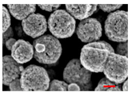 Nanomaterials 13 00587 i005