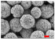 Nanomaterials 13 00587 i006