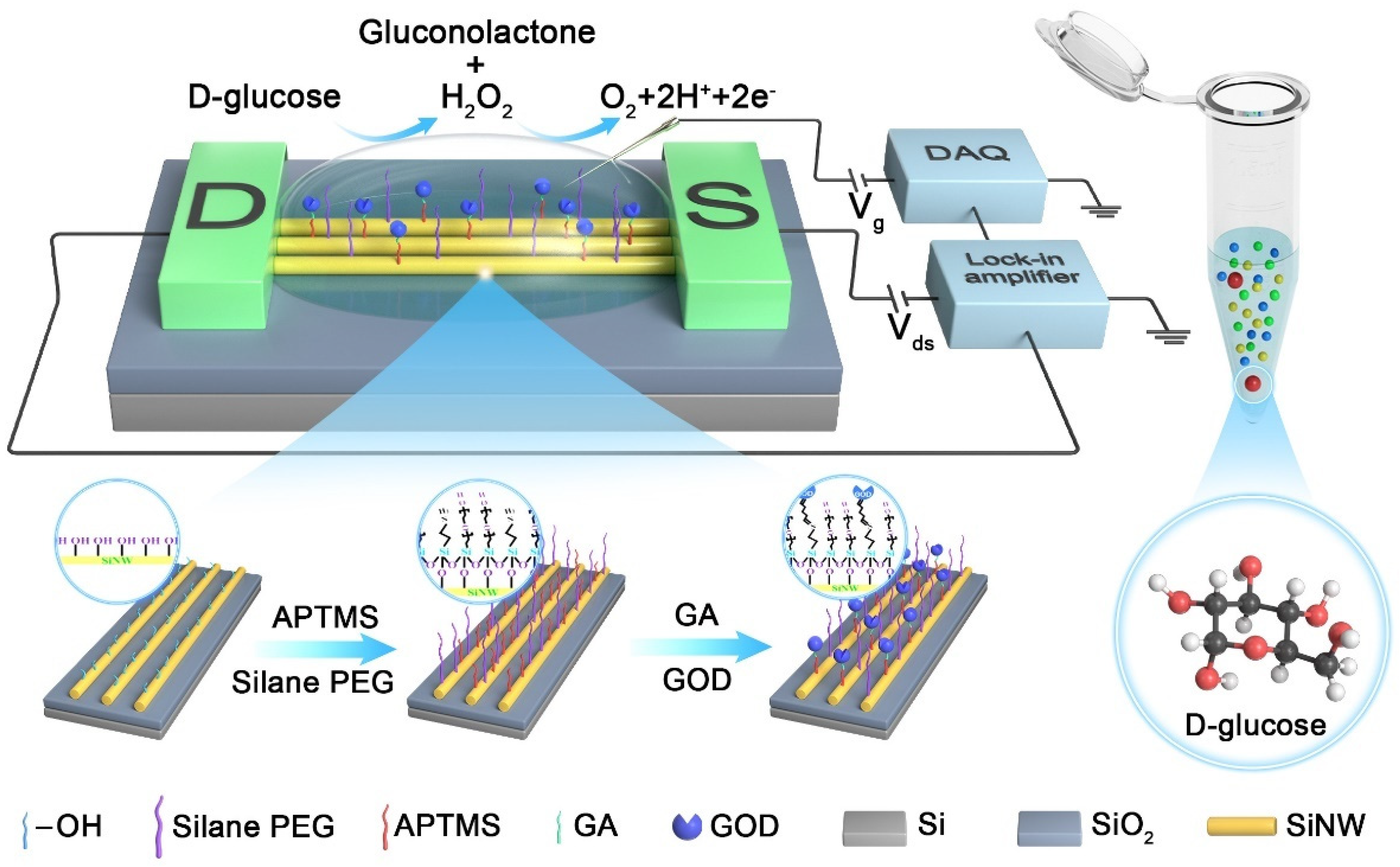 Nanomaterials 13 00604 g003