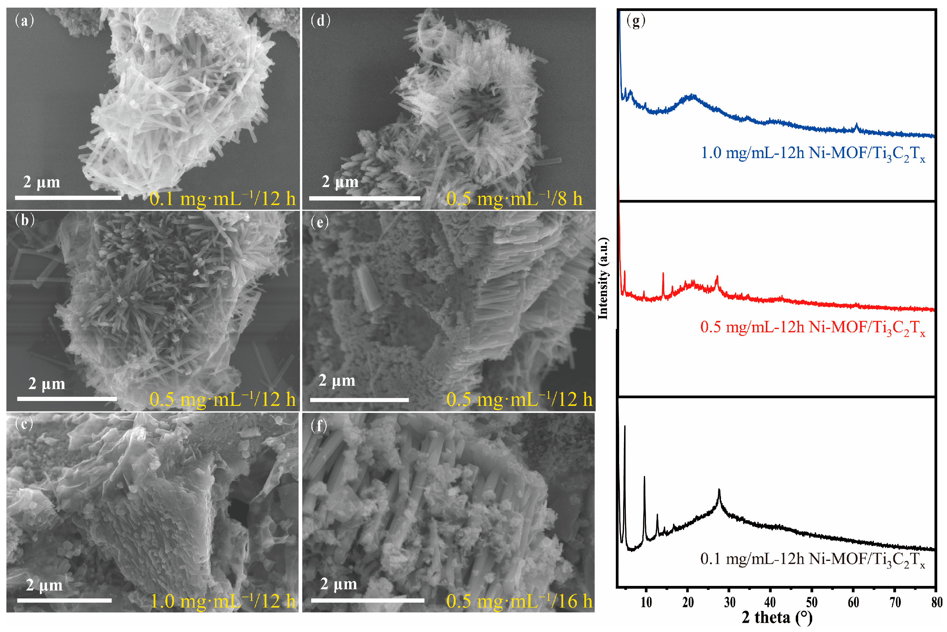 Nanomaterials 13 00610 g003