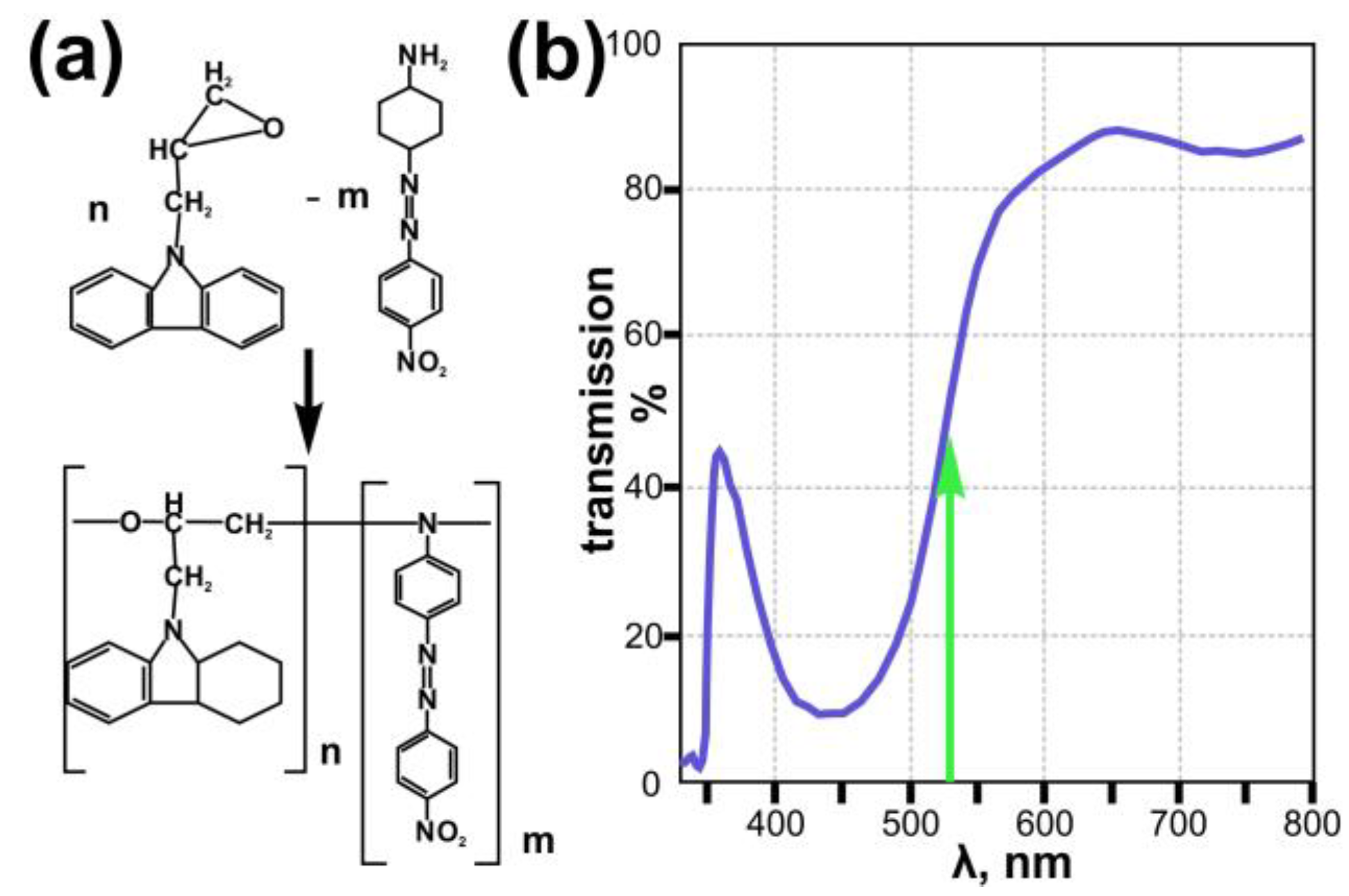 Nanomaterials 13 00612 g001