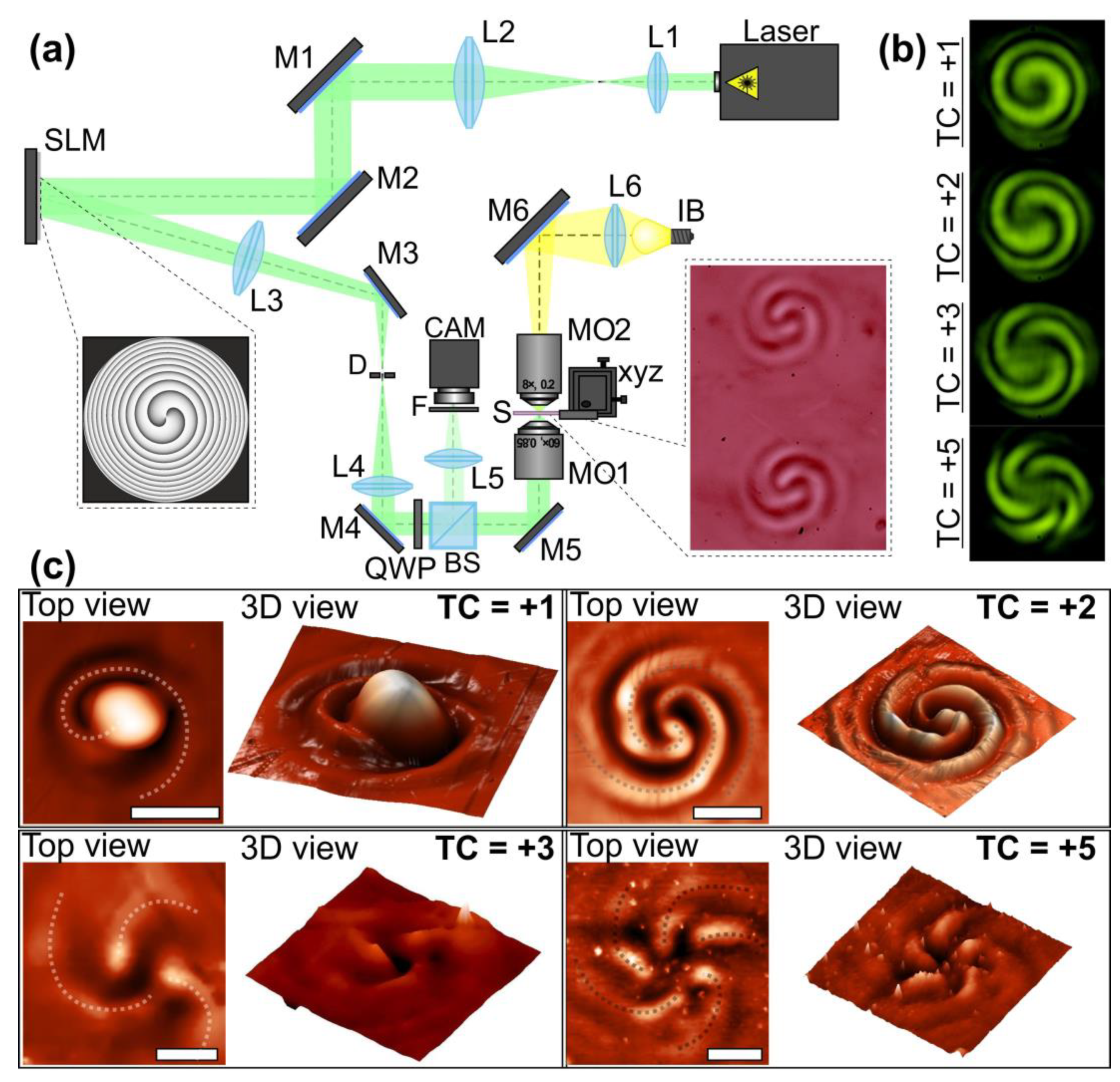 Nanomaterials 13 00612 g003