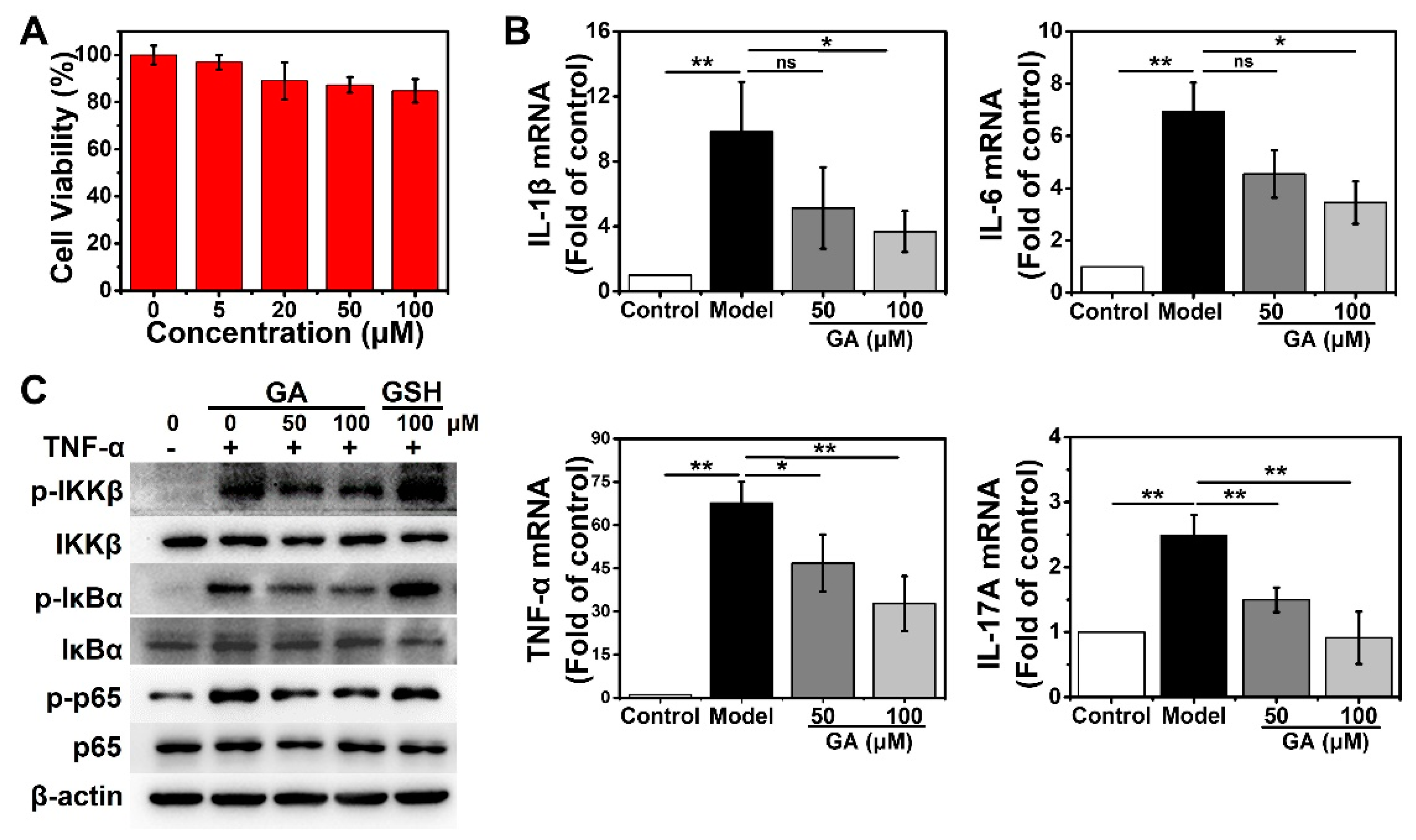 Nanomaterials 13 00662 g002 Nanomaterials 13 00662 g002