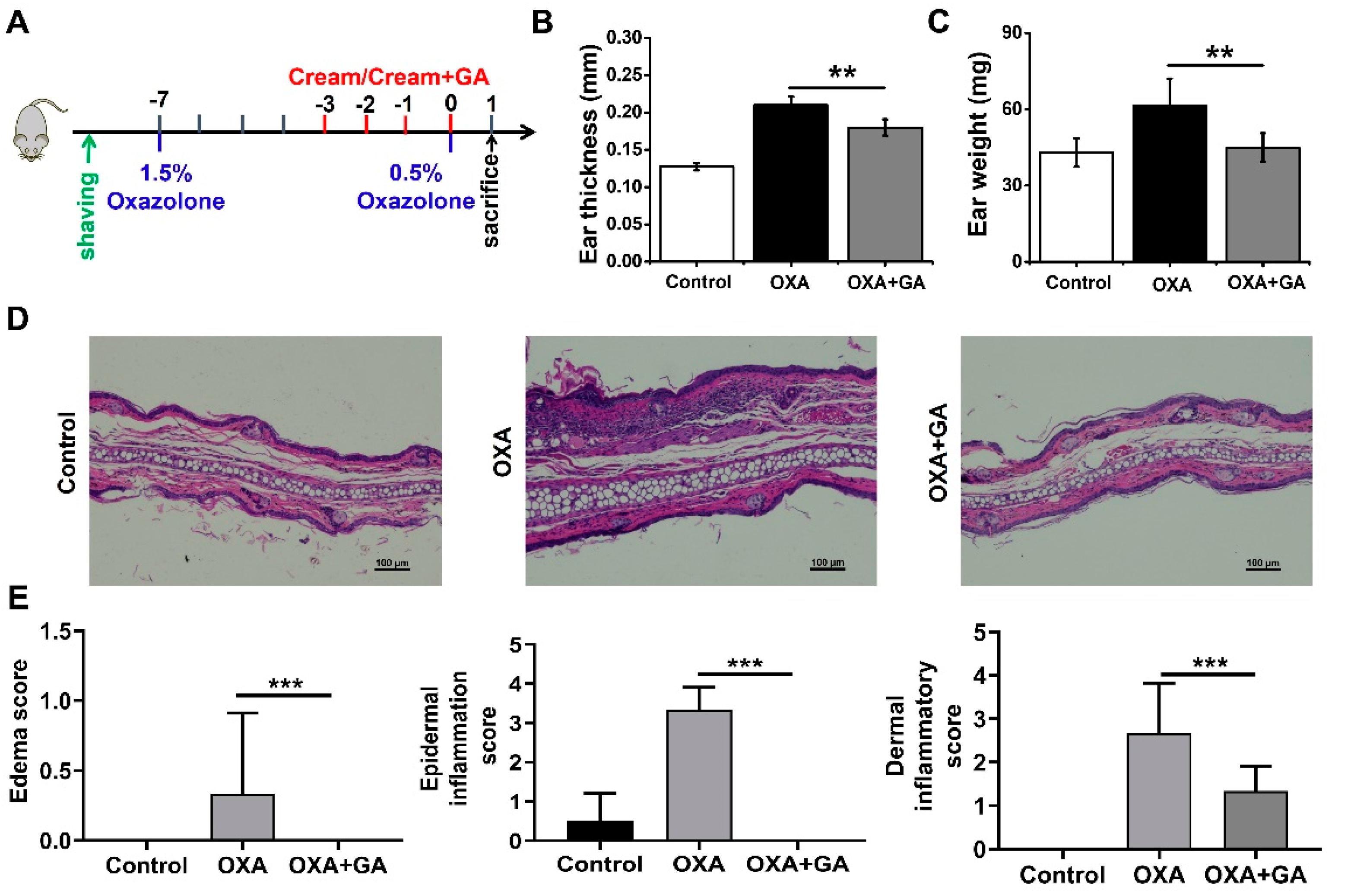 Nanomaterials 13 00662 g004 Nanomaterials 13 00662 g004