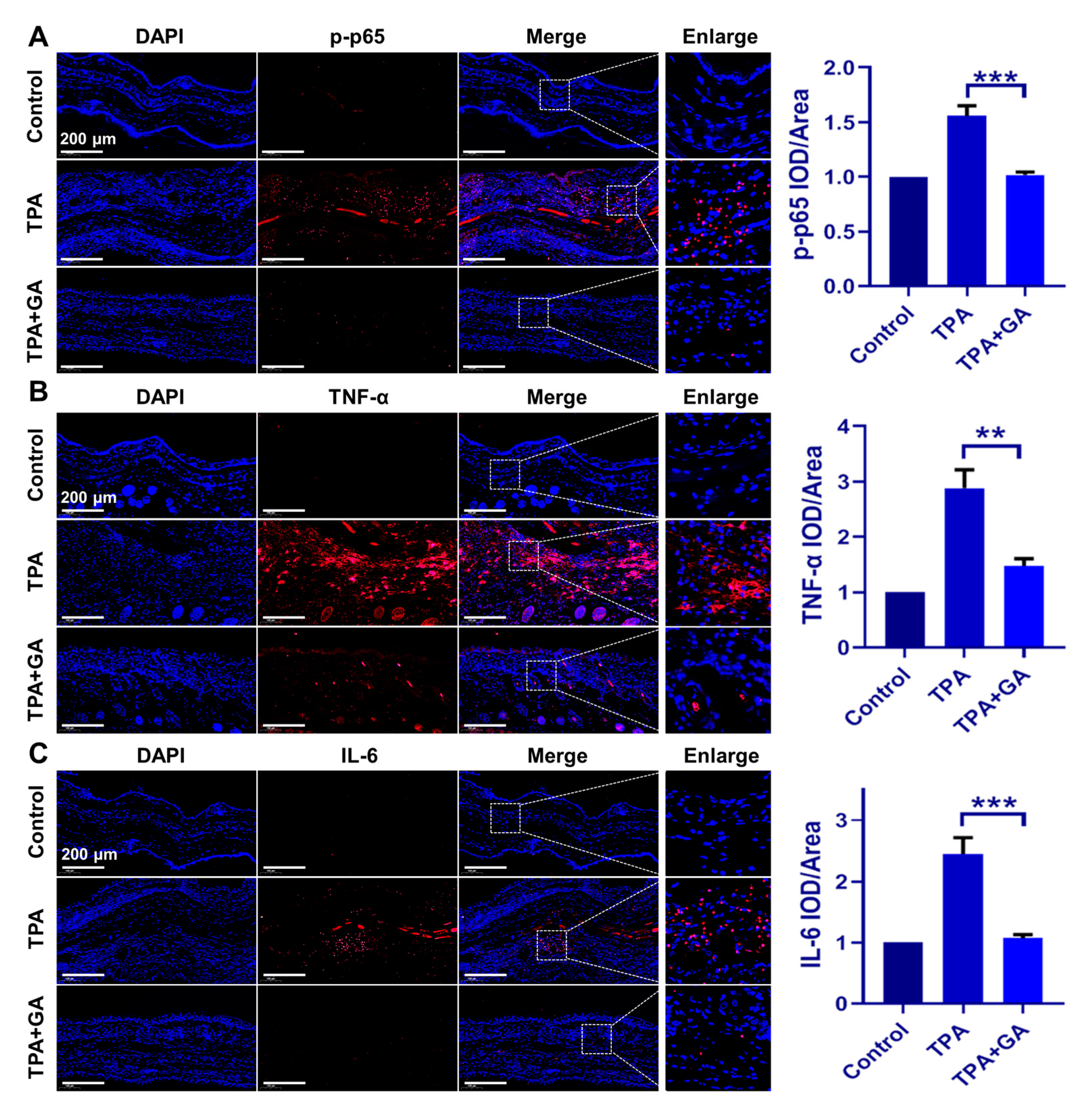 Nanomaterials 13 00662 g005 Nanomaterials 13 00662 g005