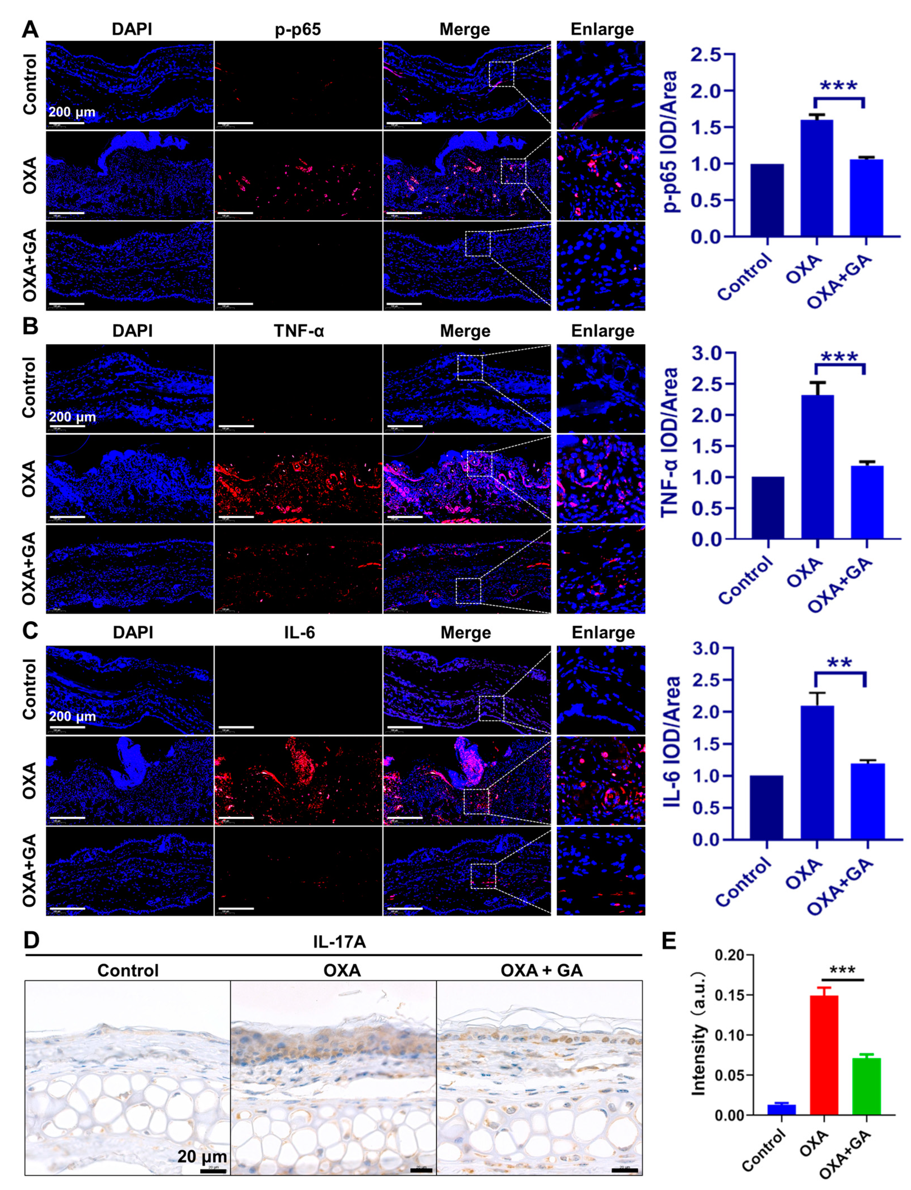 Nanomaterials 13 00662 g006 Nanomaterials 13 00662 g006