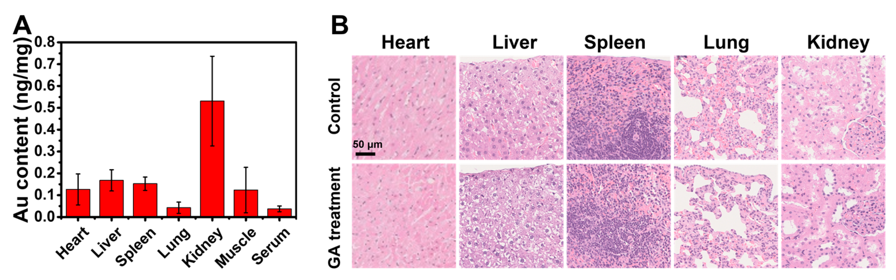 Nanomaterials 13 00662 g007 Nanomaterials 13 00662 g007