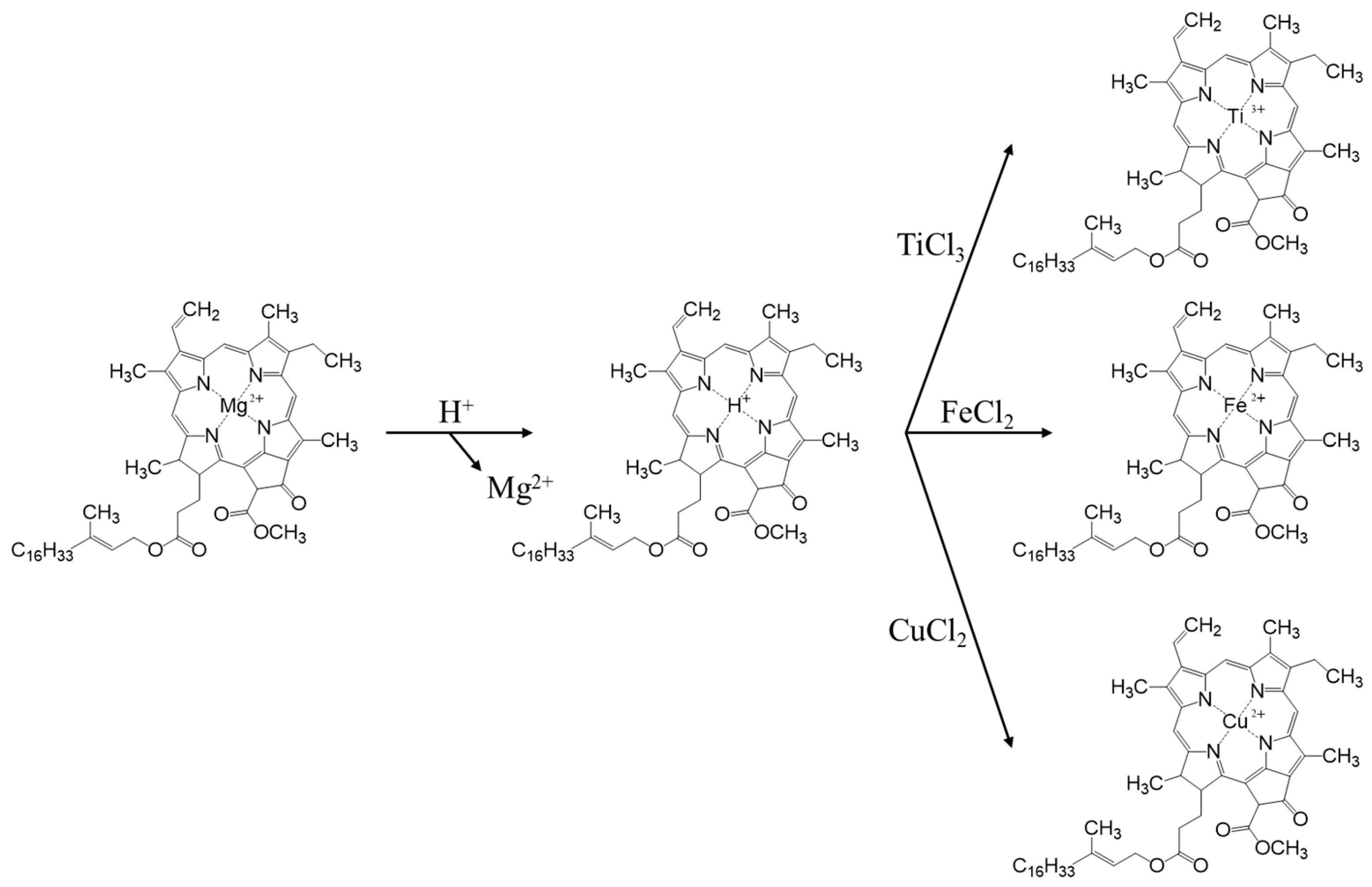 Nanomaterials 13 00664 g001