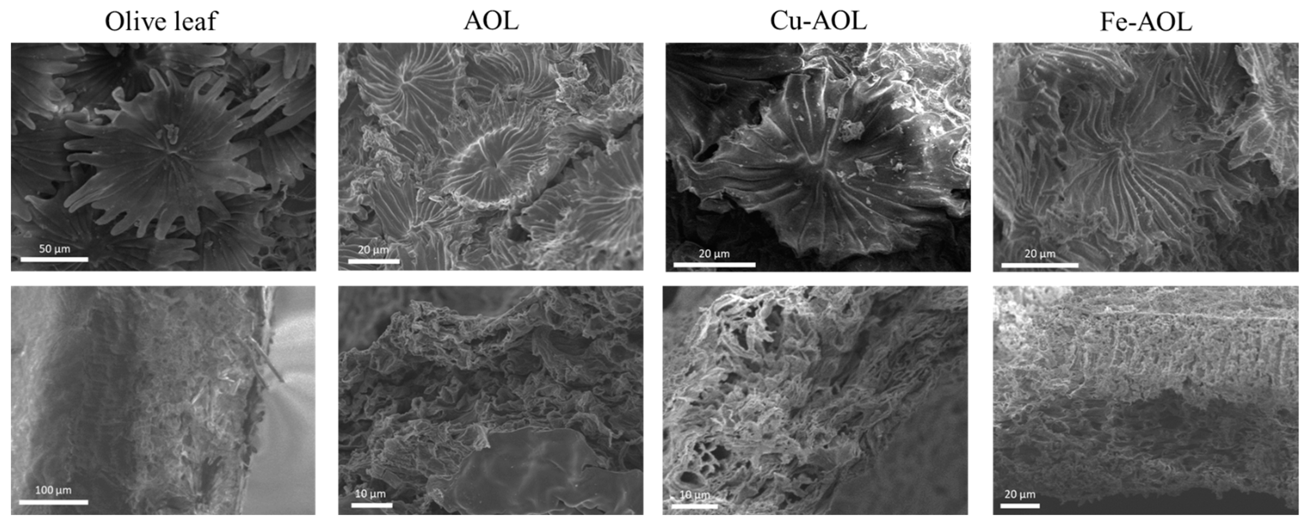 Nanomaterials 13 00664 g003