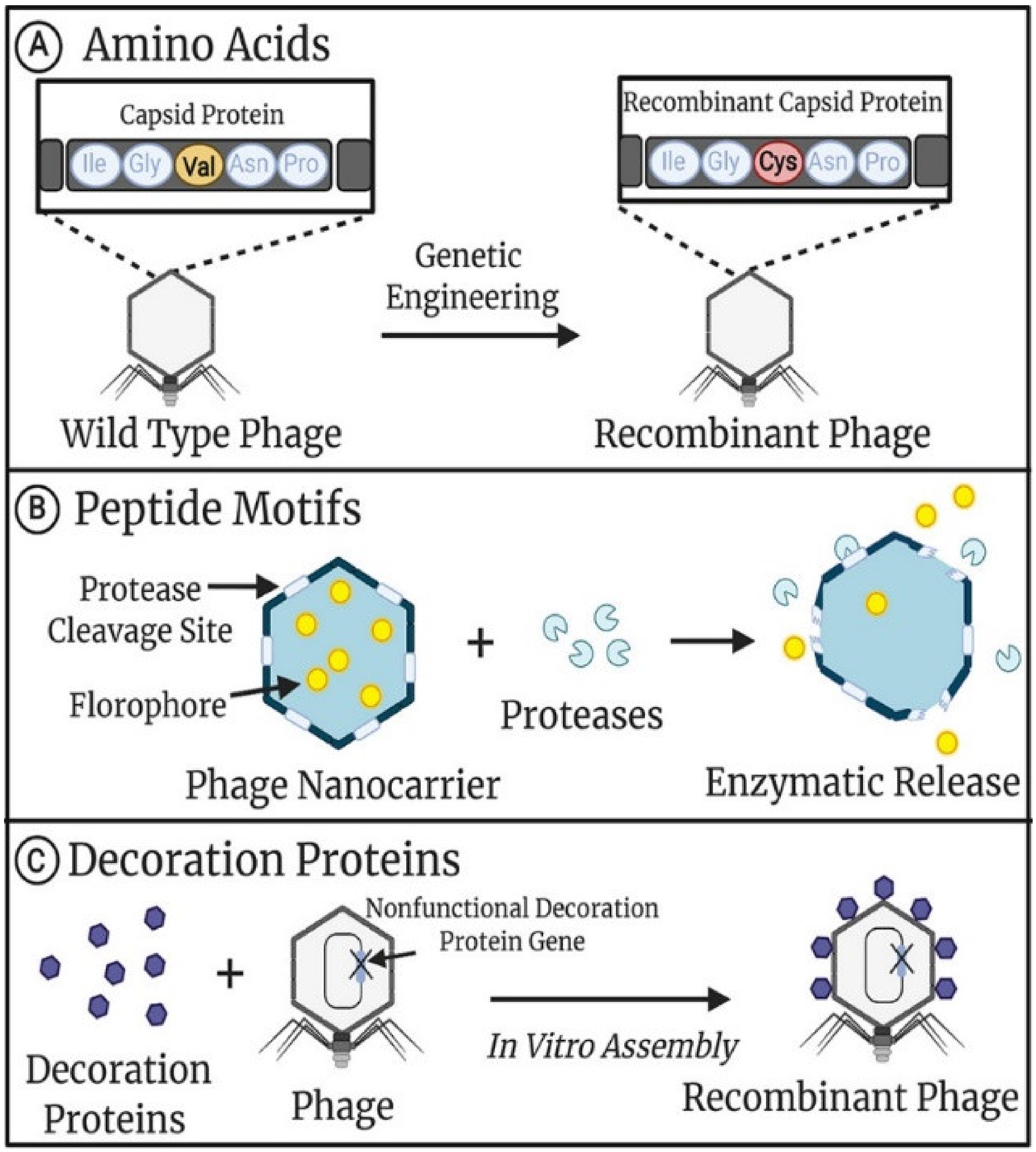 Nanomaterials 13 00665 g001 Nanomaterials 13 00665 g001