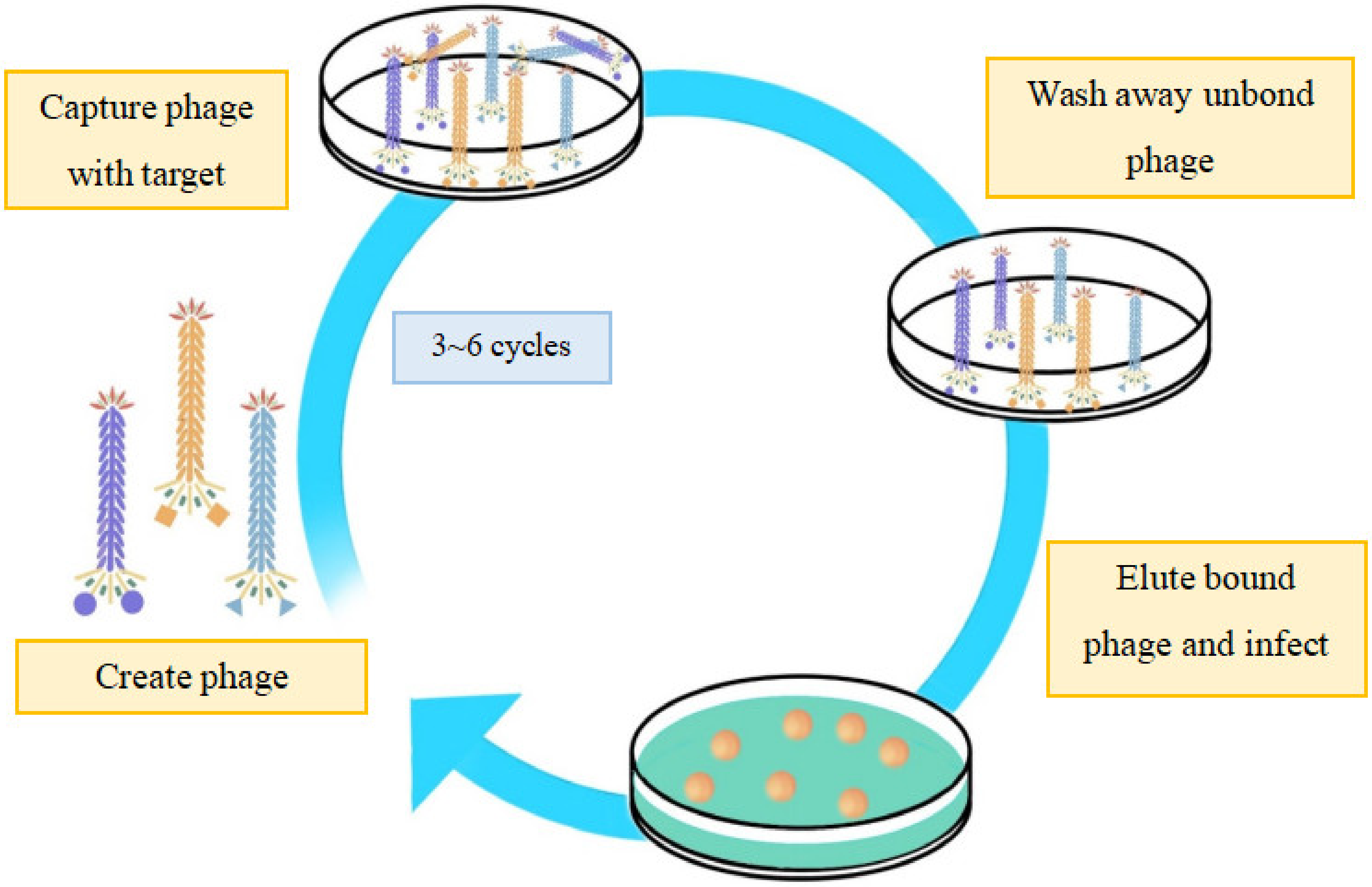 Nanomaterials 13 00665 g002 Nanomaterials 13 00665 g002