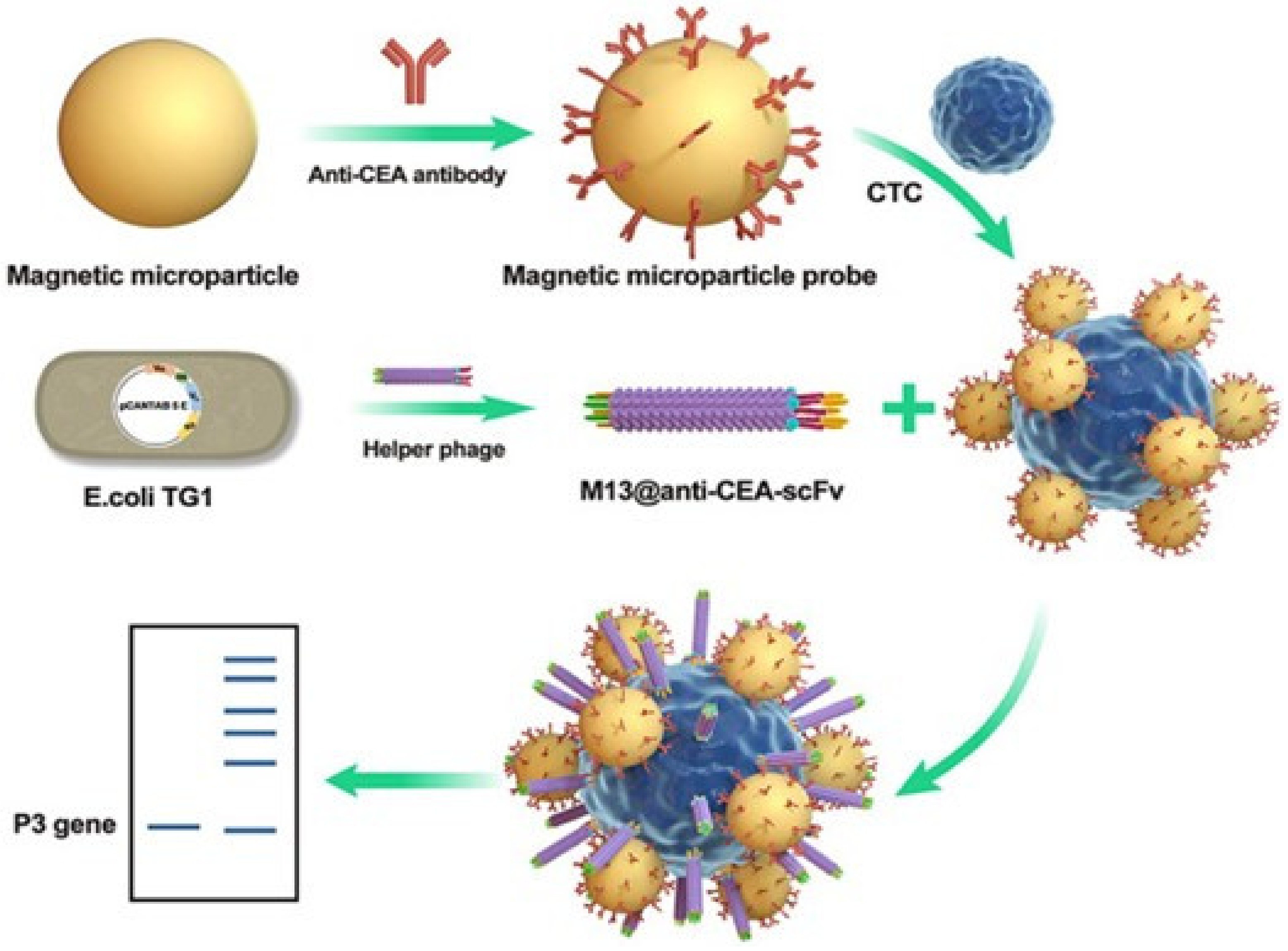 Nanomaterials 13 00665 g004 Nanomaterials 13 00665 g004