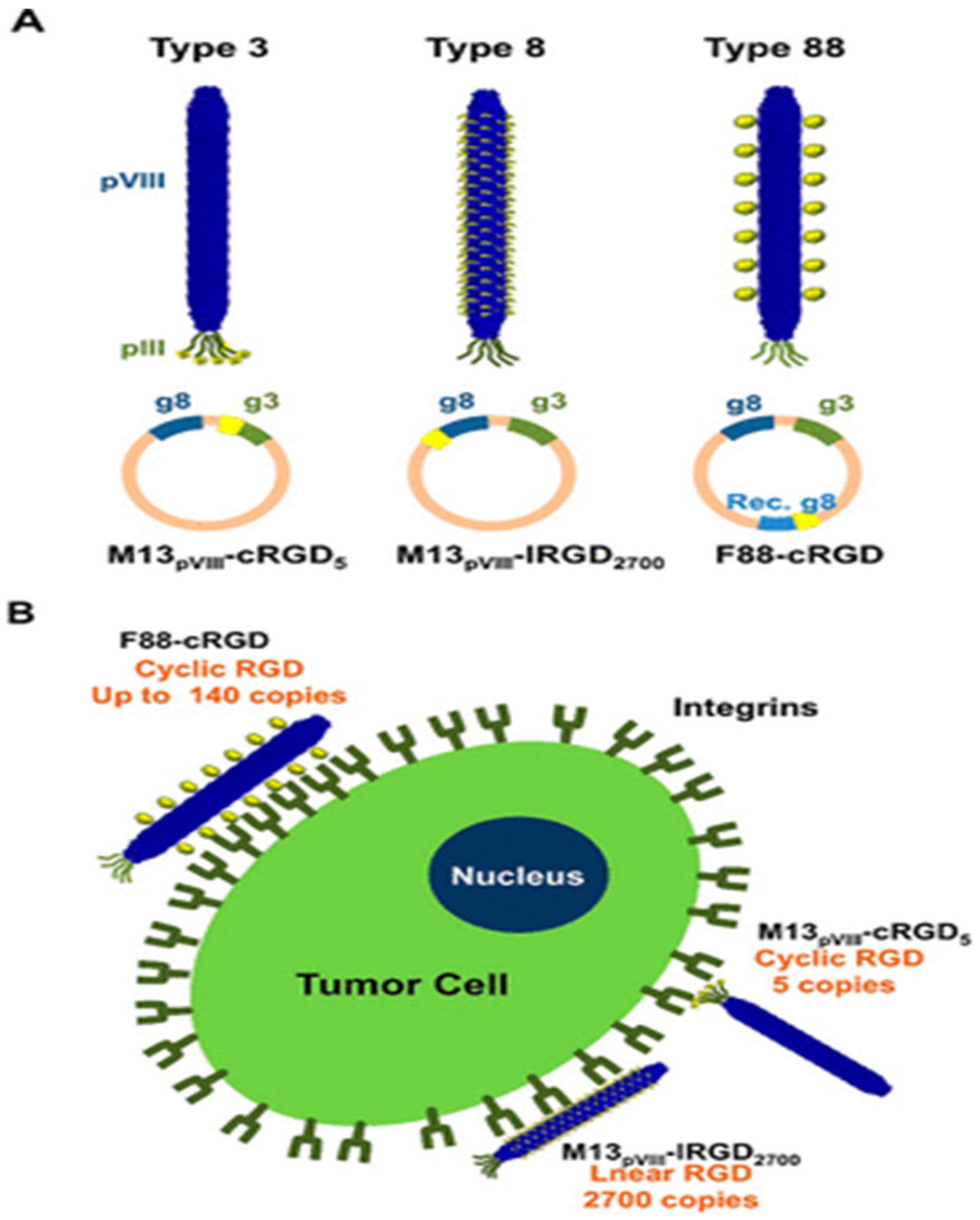 Nanomaterials 13 00665 g005 Nanomaterials 13 00665 g005