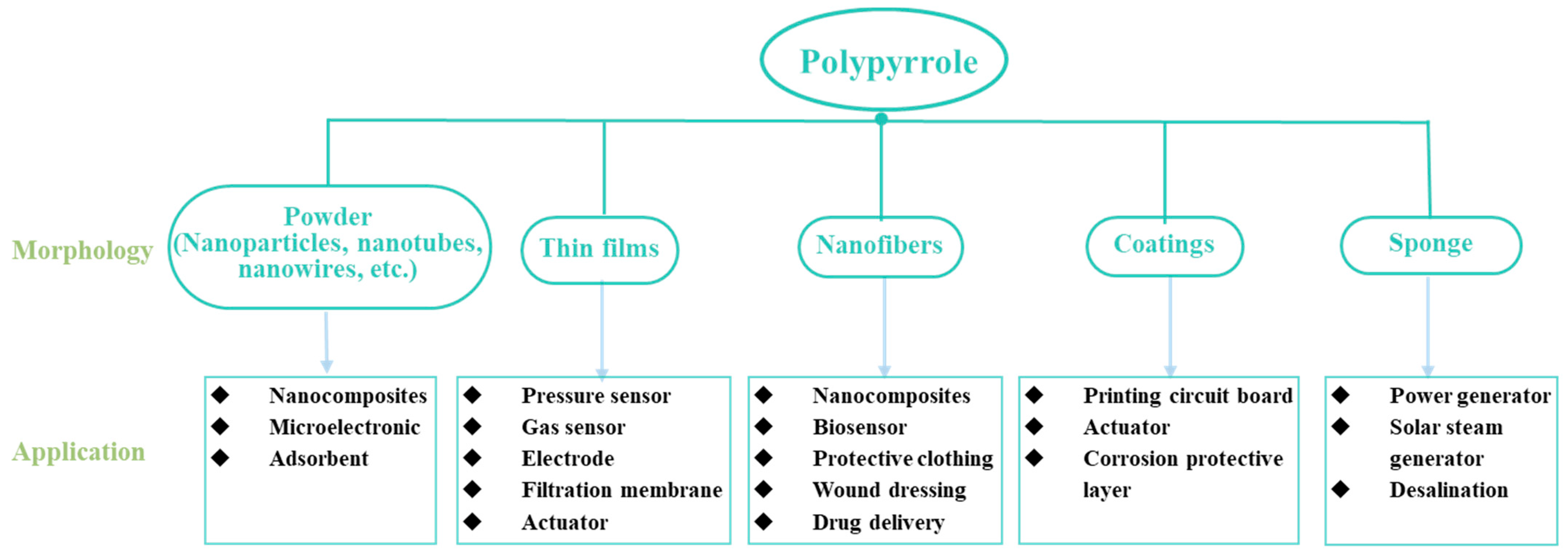 Nanomaterials 13 00674 g003