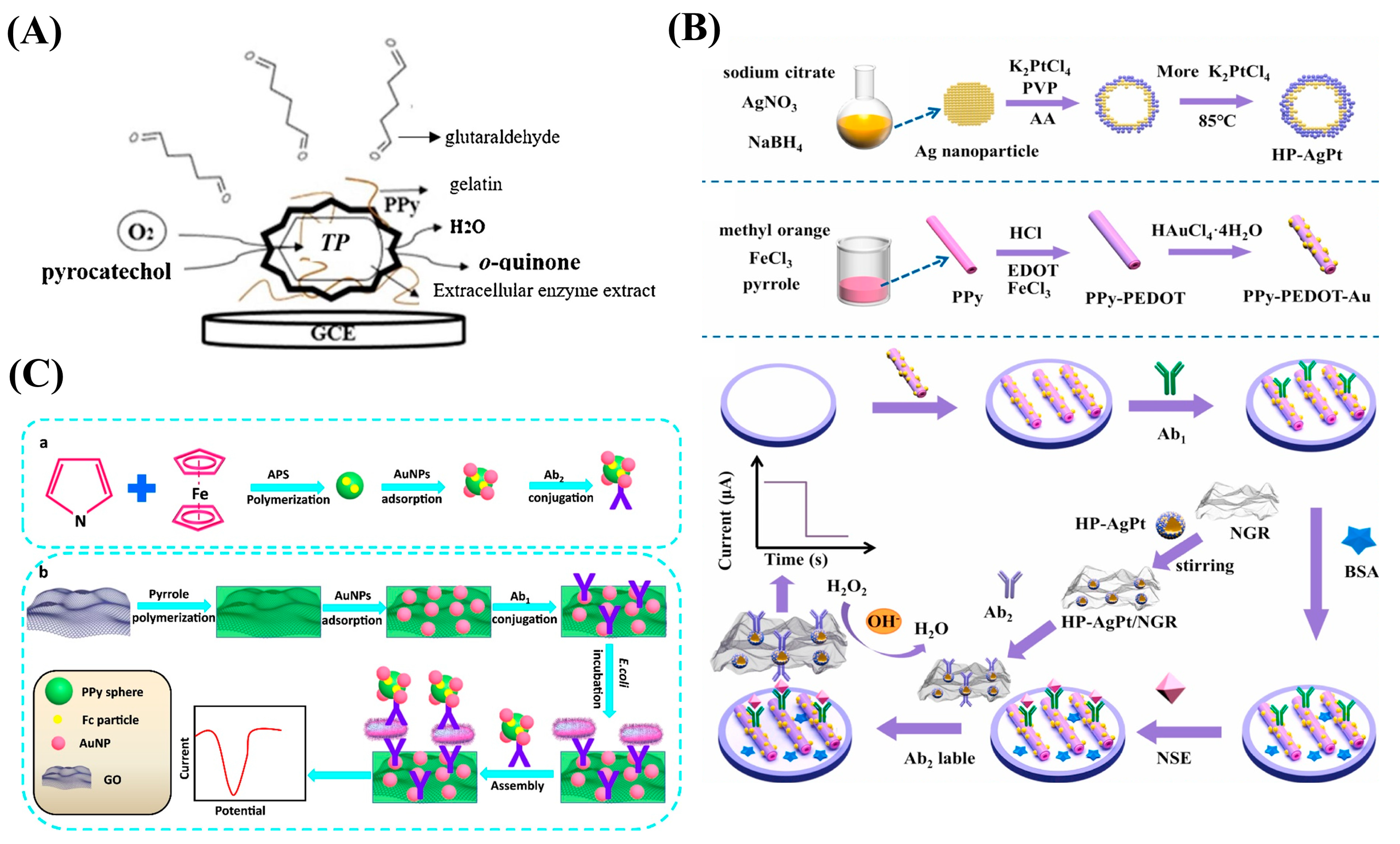 Nanomaterials 13 00674 g004