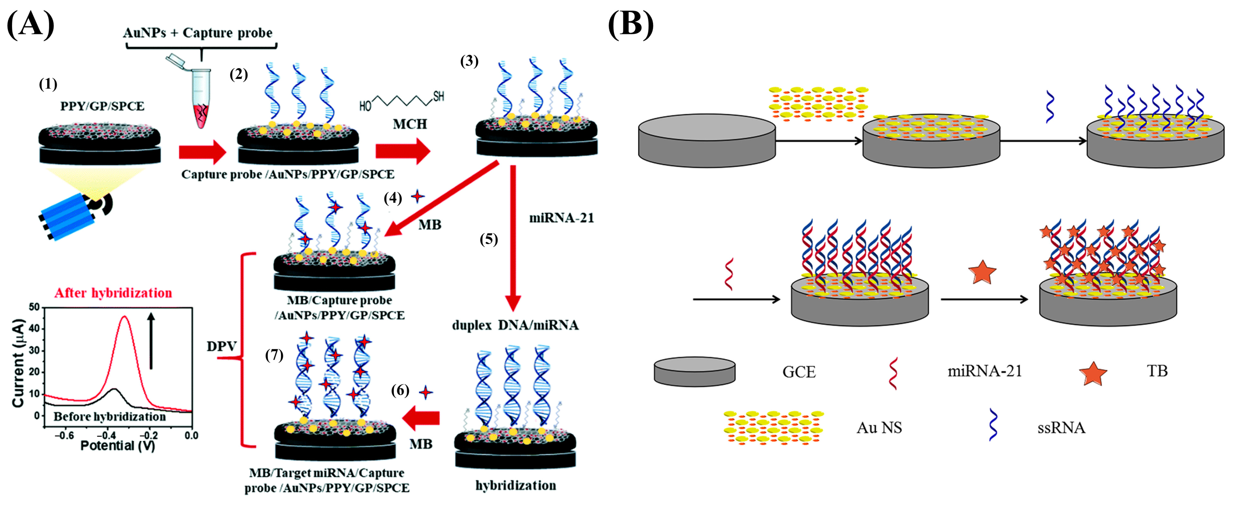Nanomaterials 13 00674 g008