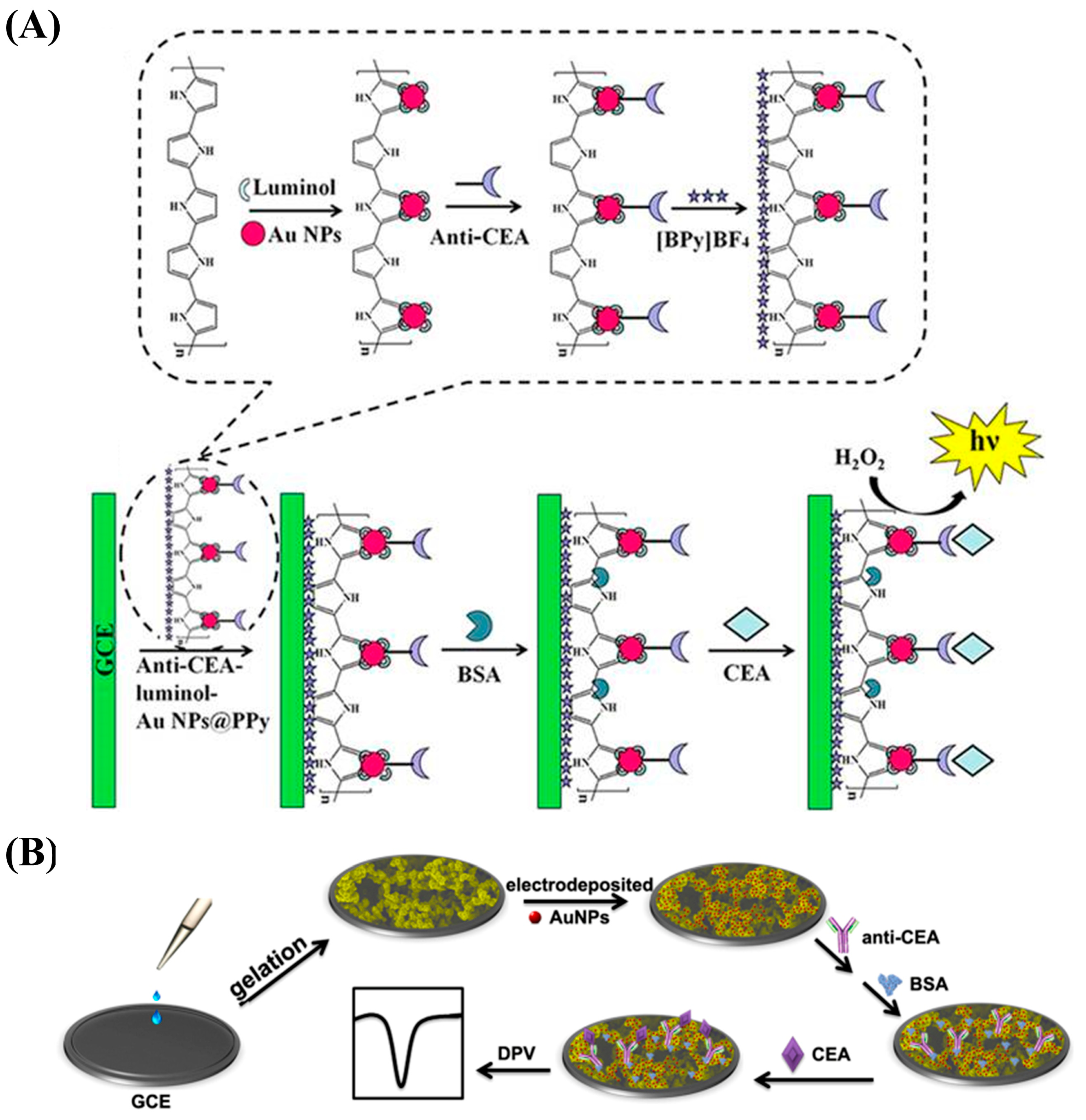 Nanomaterials 13 00674 g011