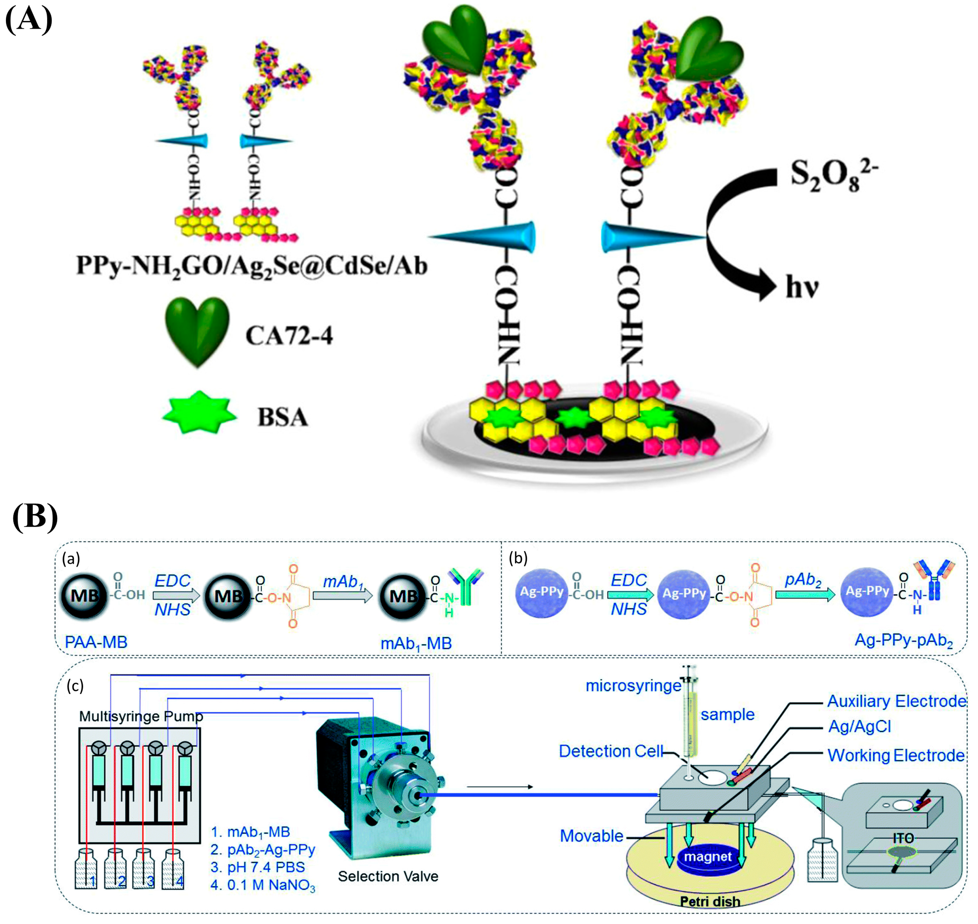 Nanomaterials 13 00674 g012
