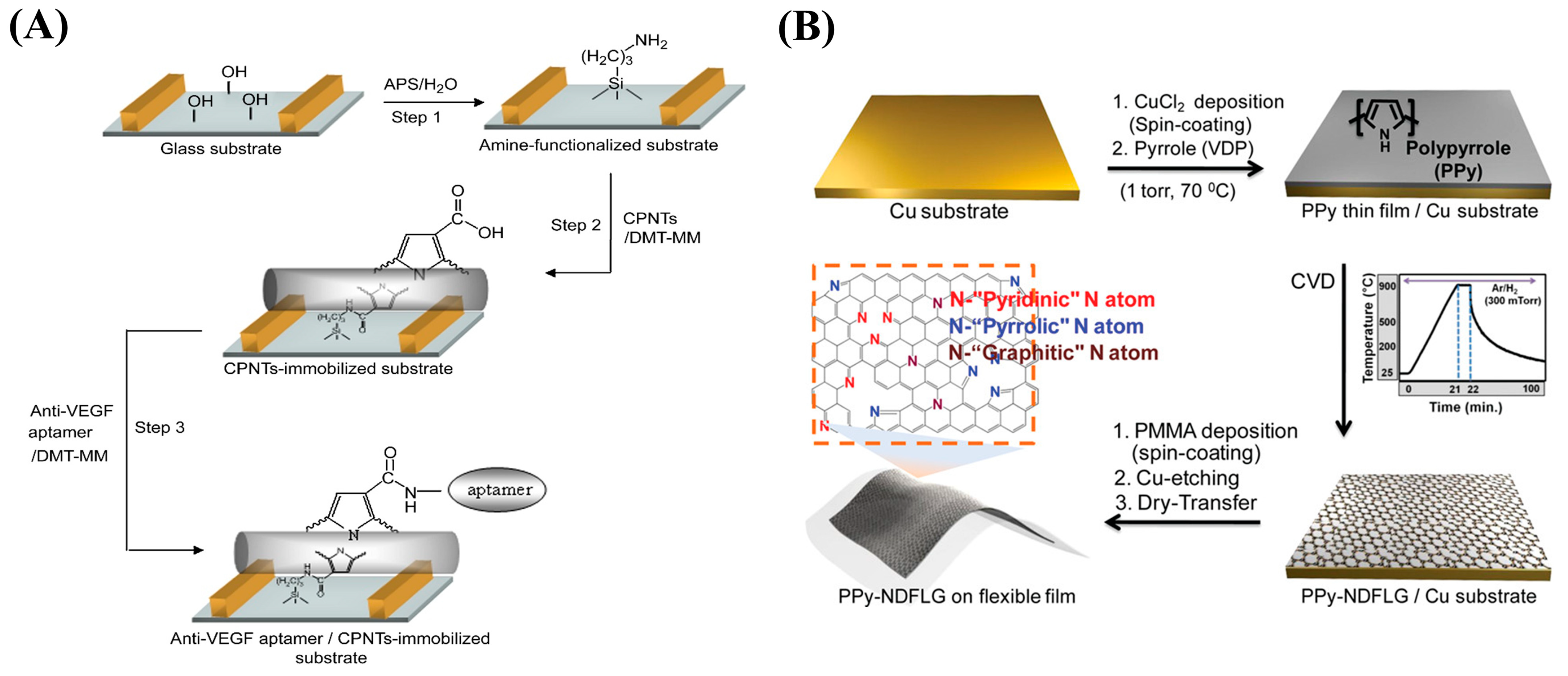 Nanomaterials 13 00674 g014