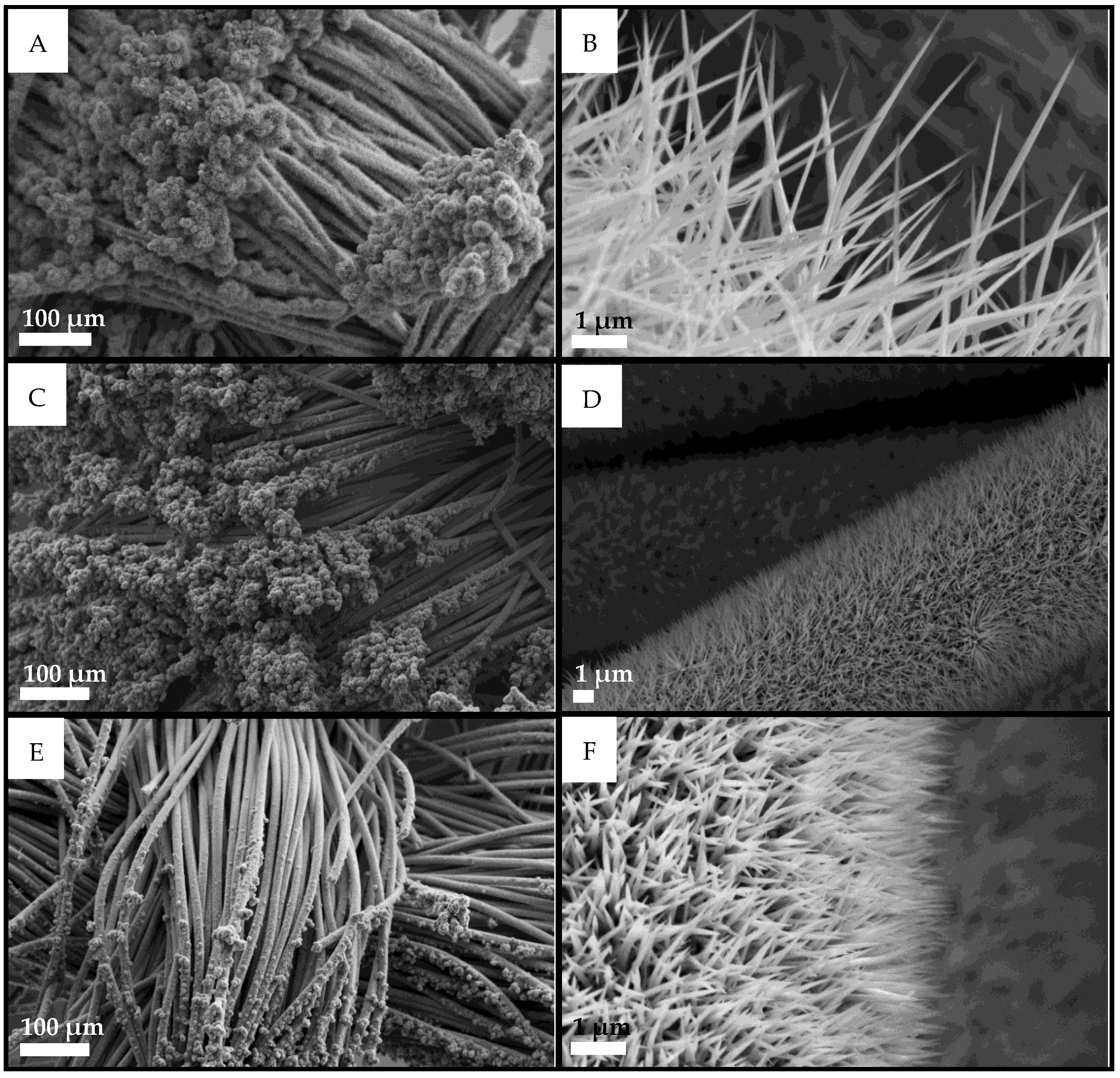 Nanomaterials 13 00683 g002