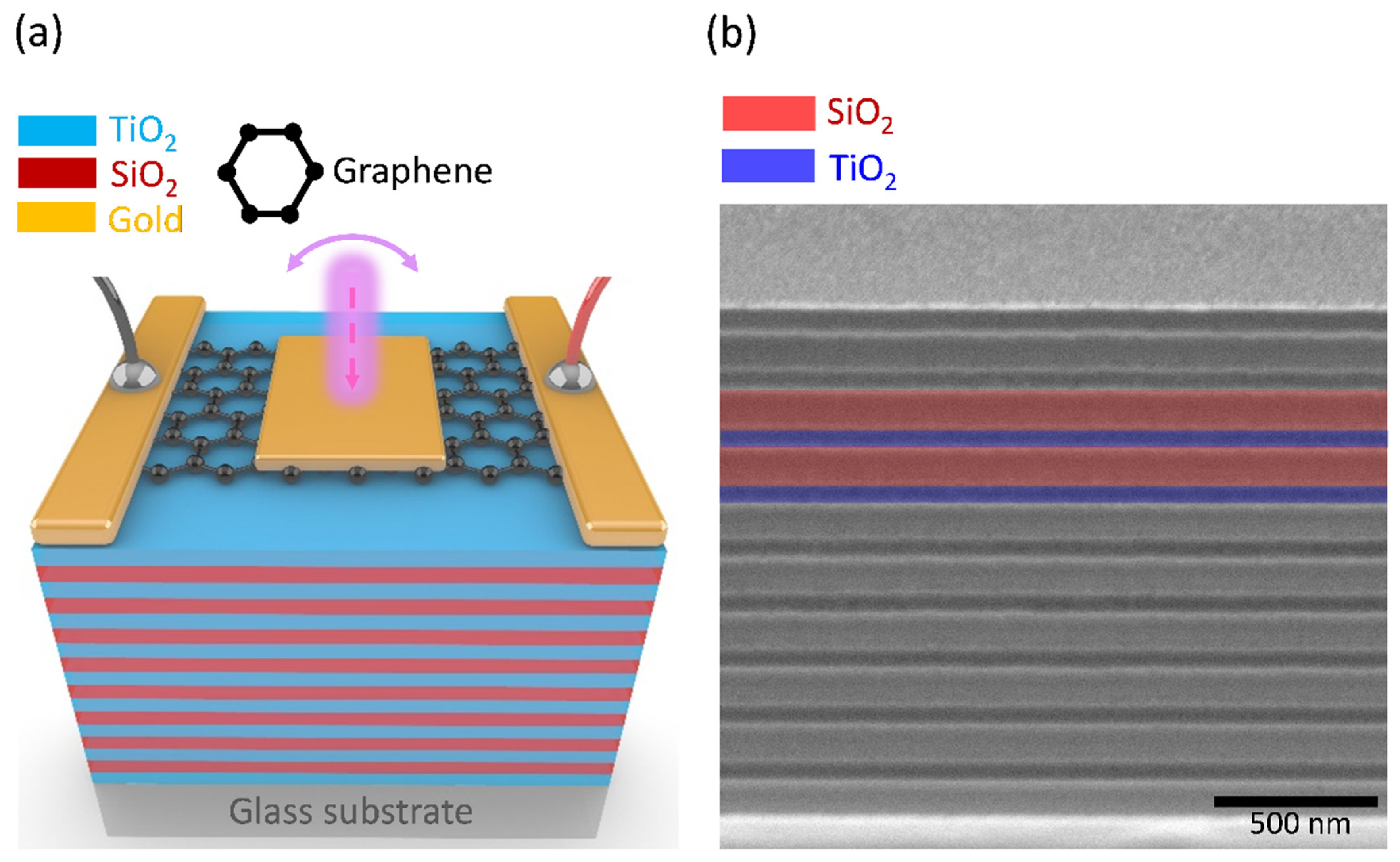 Nanomaterials 13 00693 g001