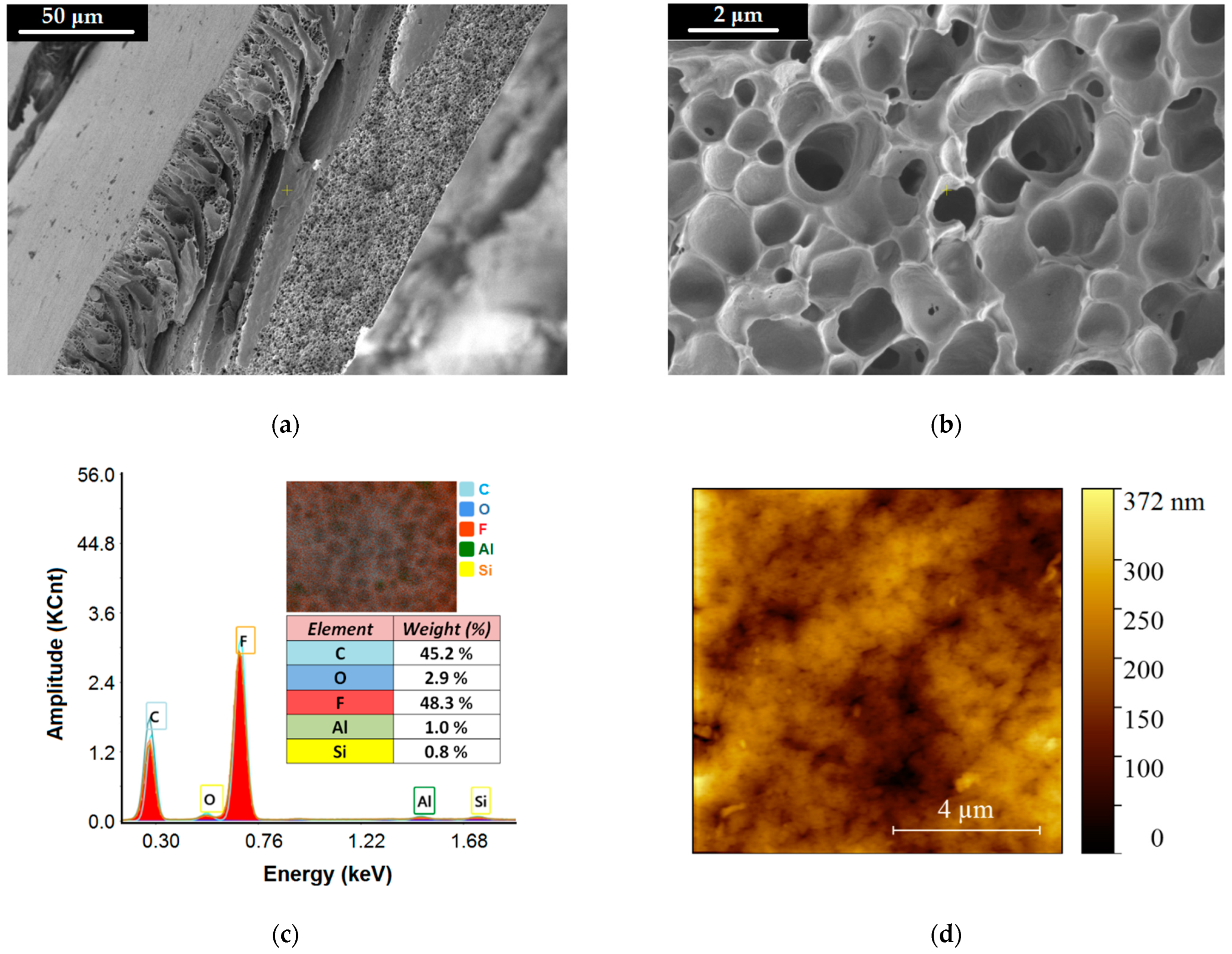 Nanomaterials 13 00697 g009