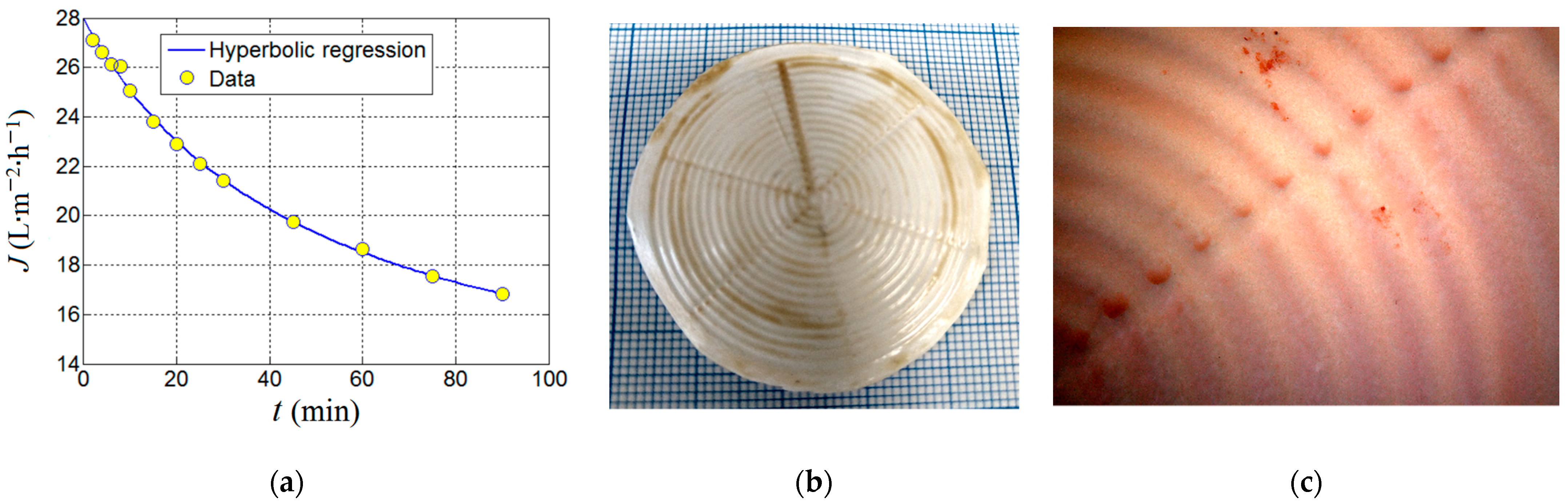 Nanomaterials 13 00697 g012