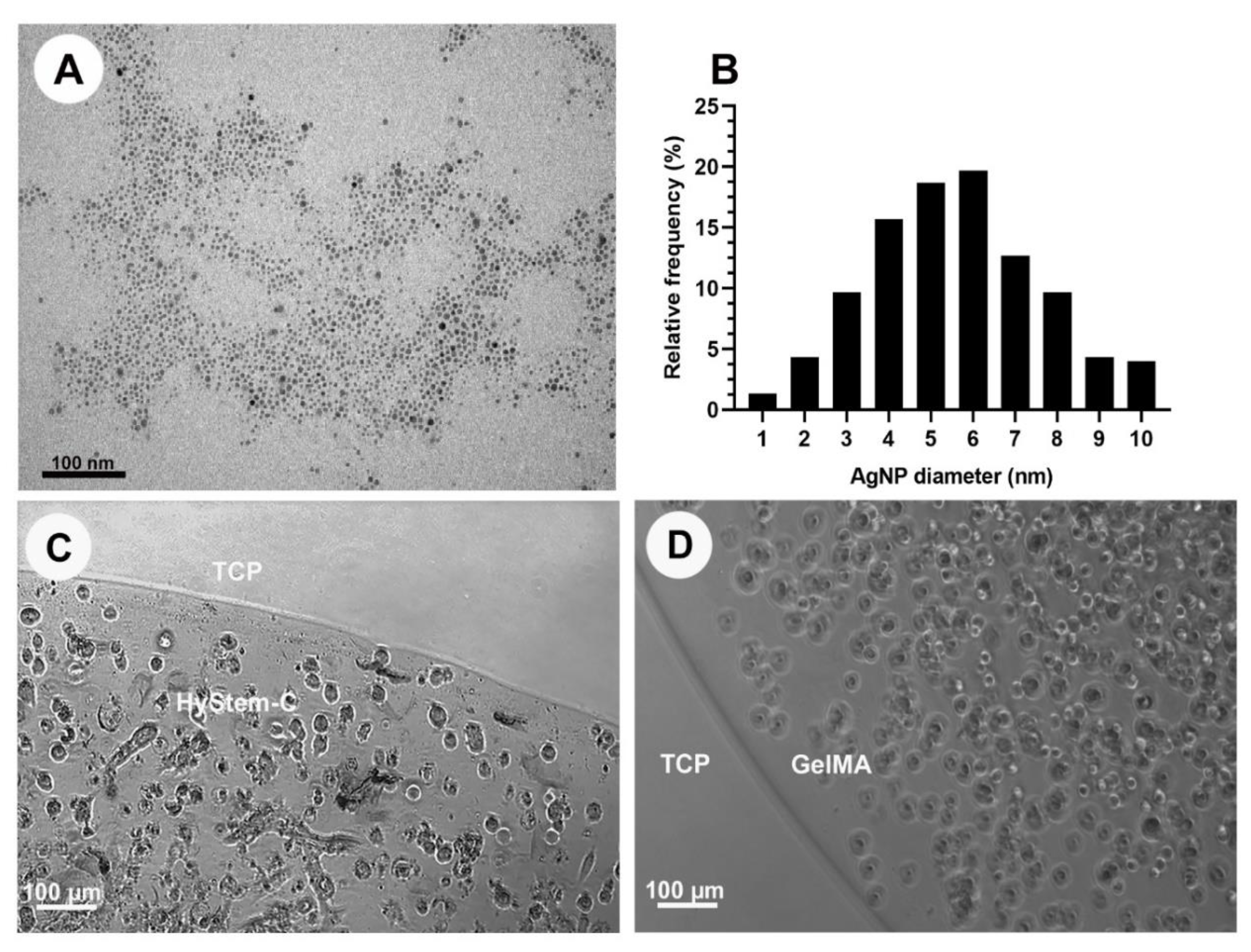 Nanomaterials 13 00705 g001