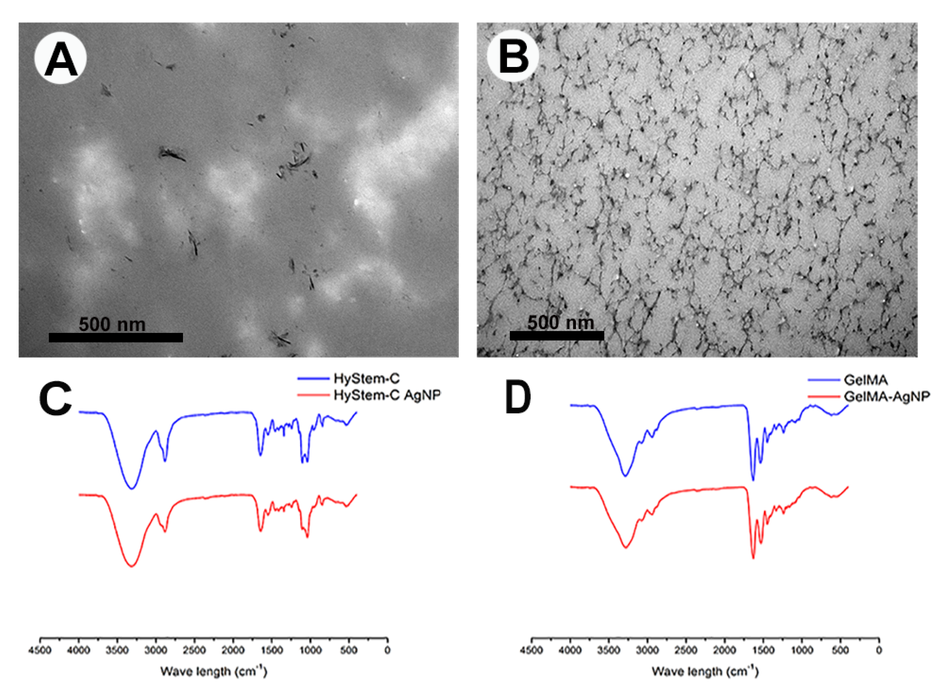 Nanomaterials 13 00705 g004